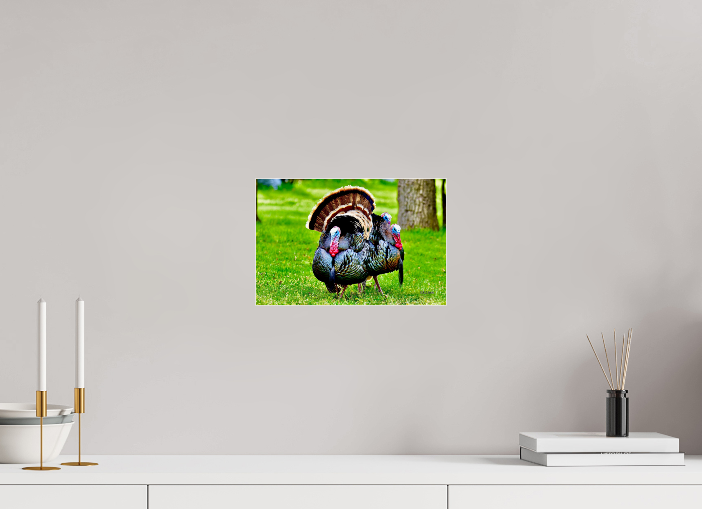 12 x 8″, acrylic-noframe-glossy 3 gang of Turkeys