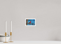 6 x 4″, Print with 0.4in white border Red Cardinal