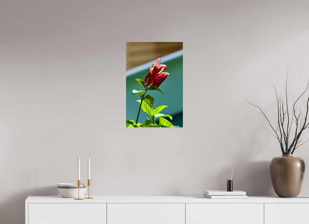 16 x 24″, acrylic-noframe-glossy Lilly of the Incas