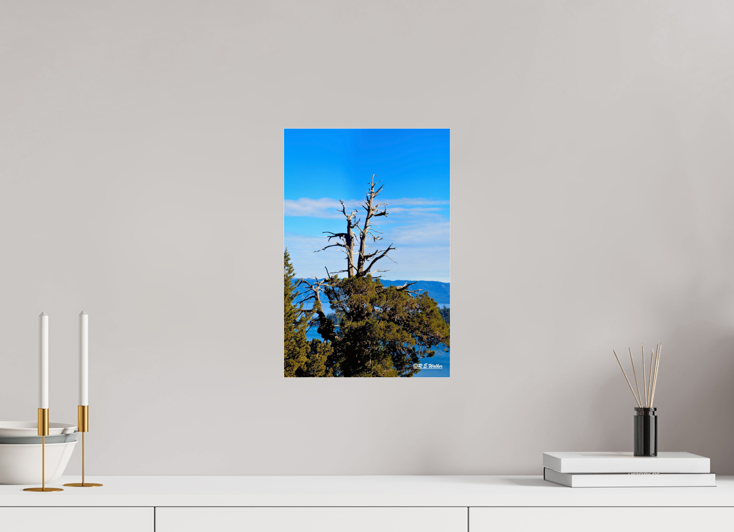 10 x 15″, acrylic-noframe-glossy Tree at Lake Tahoe