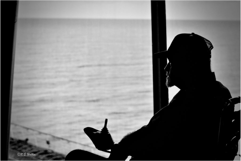 Main image Watching the Sea