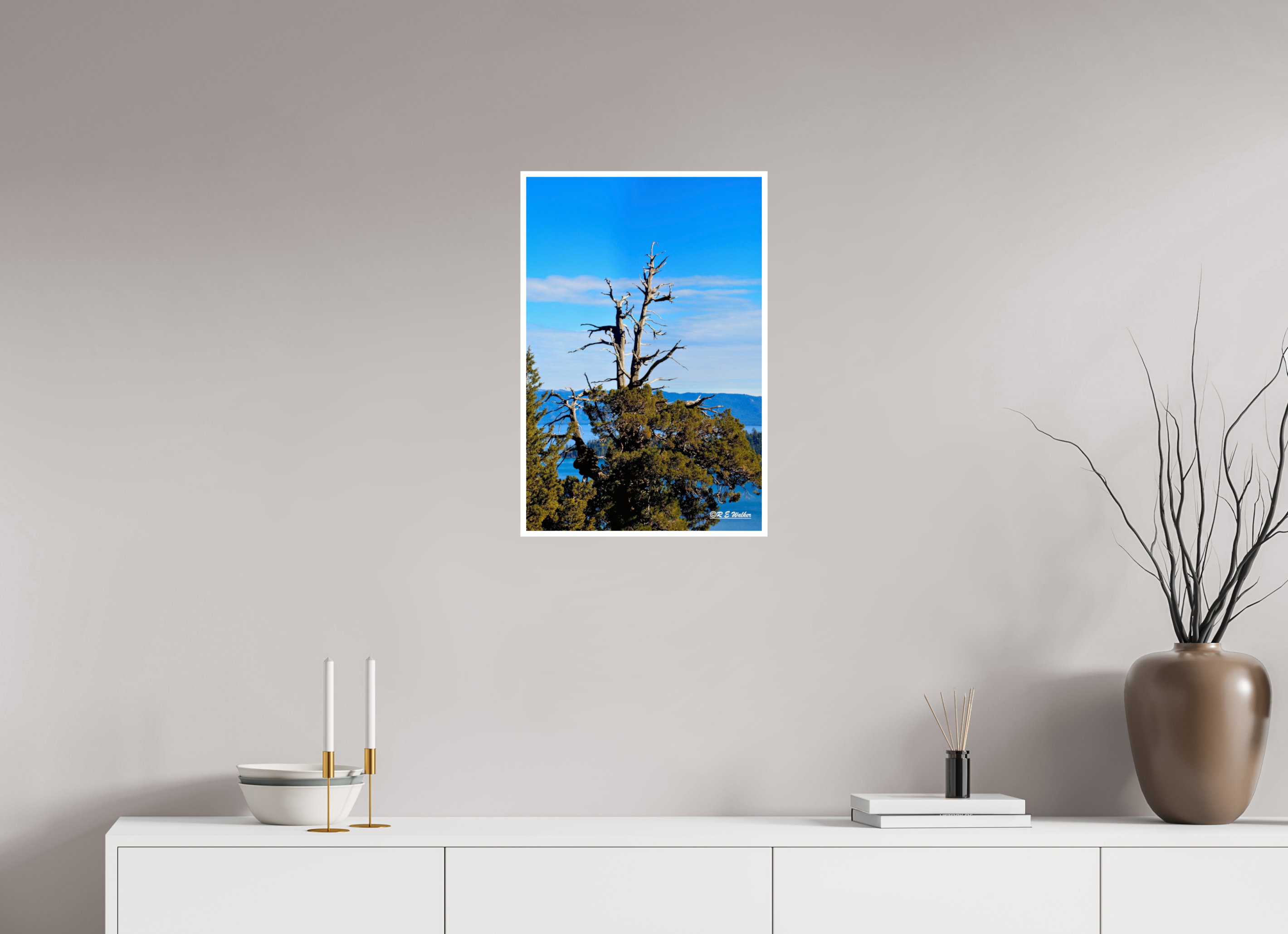 16 x 24″, Print with 0.4in white border Tree at Lake Tahoe