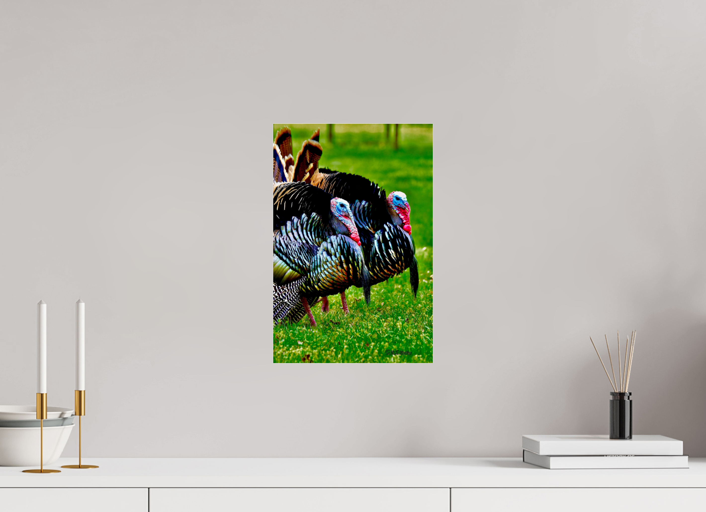 10 x 15″, acrylic-noframe-glossy Turkeys