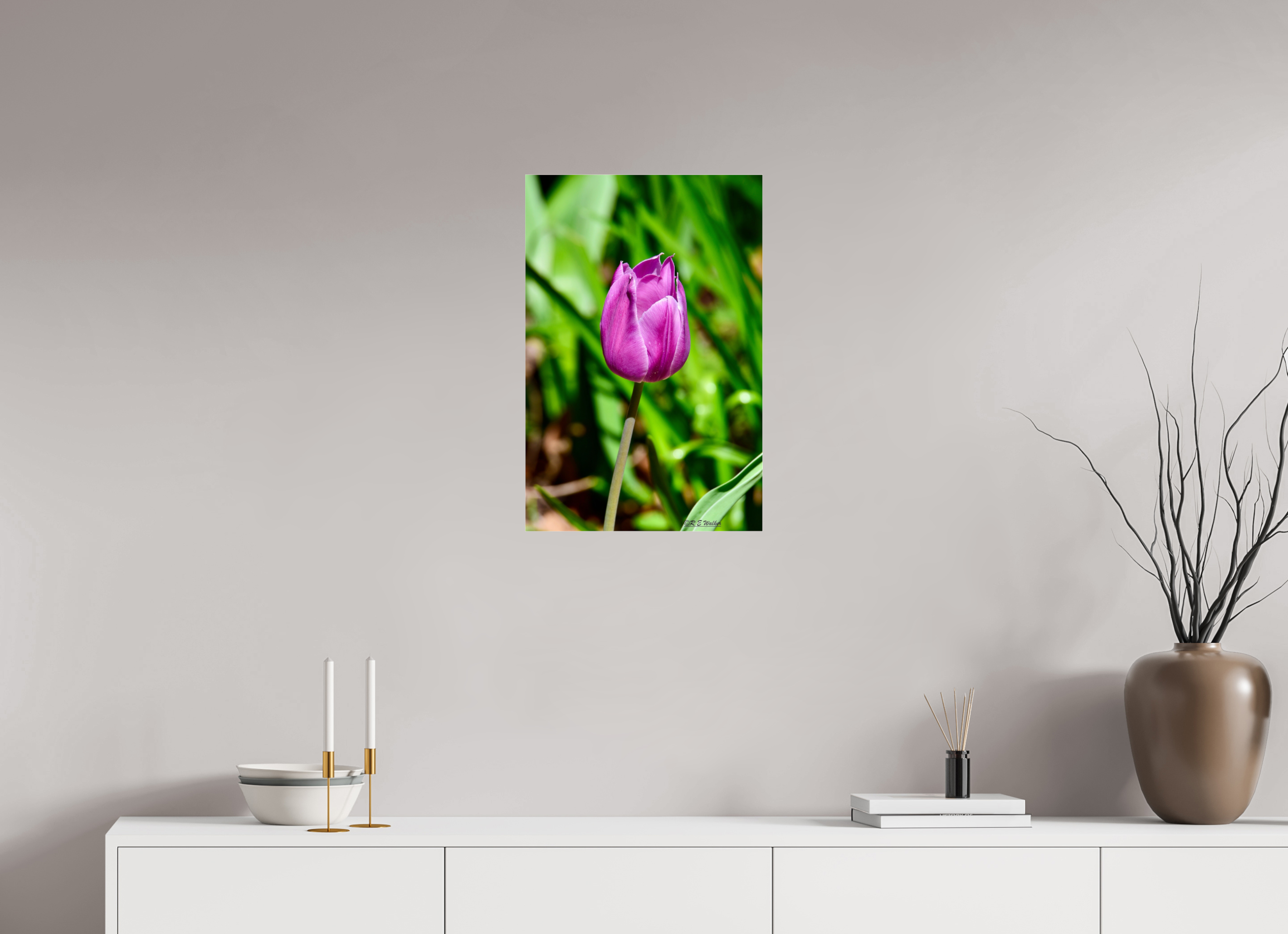 16 x 24″, acrylic-noframe-glossy Tulip in Weatherford, Tx
