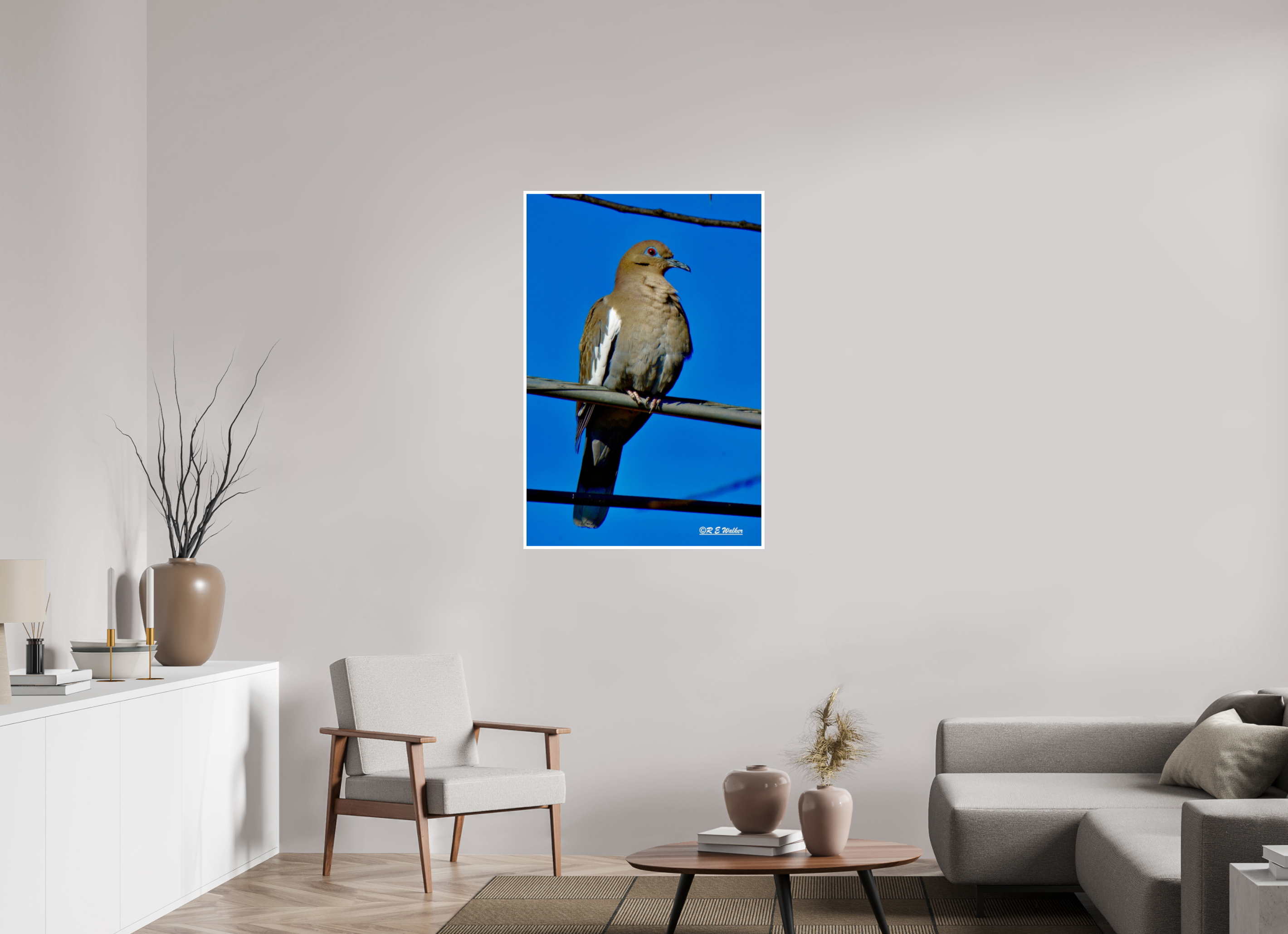 30 x 45″, Print with 0.4in white border White-Winged Dove