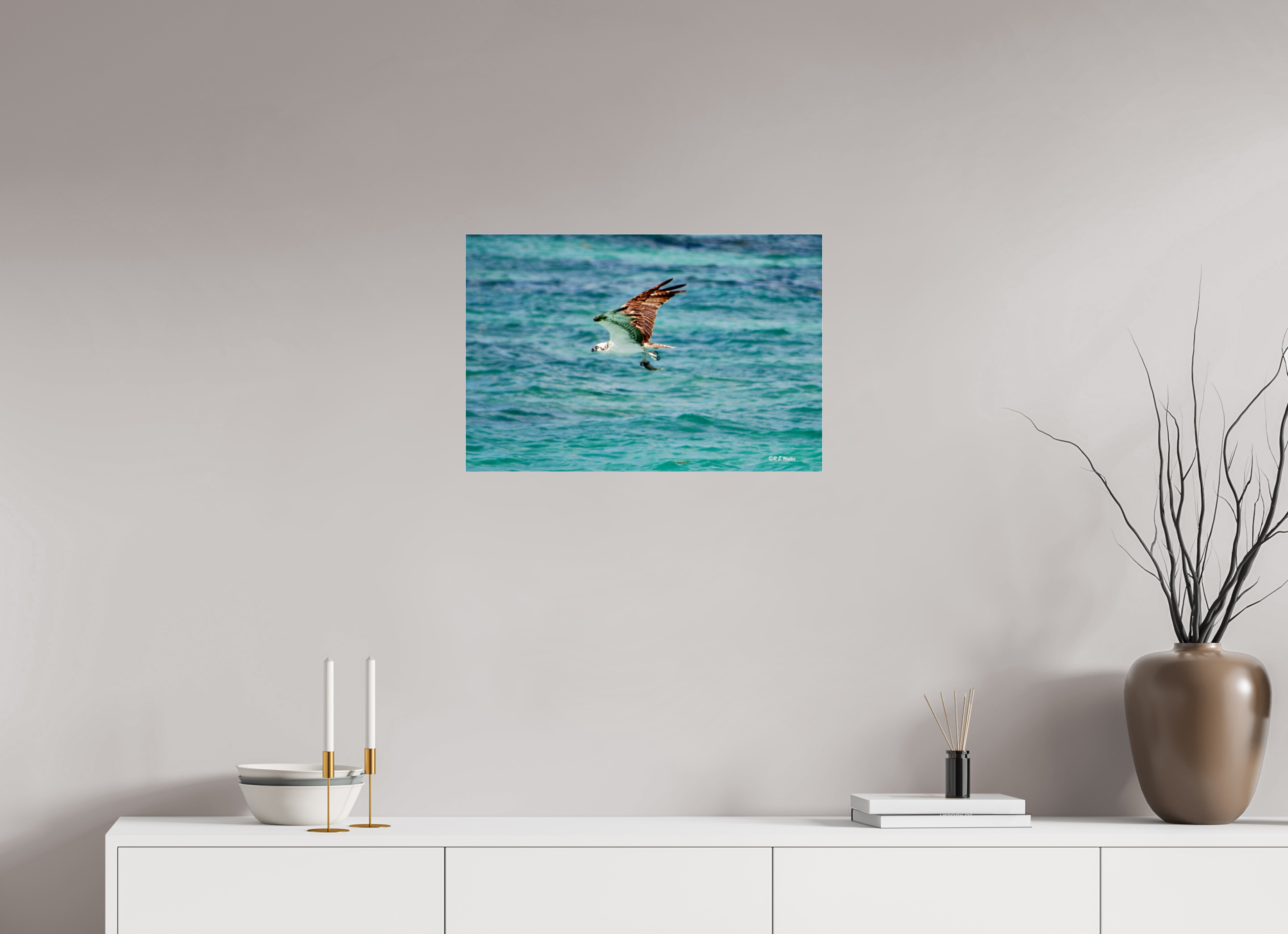 24 x 16″, acrylic-noframe-glossy Seahawk in flight