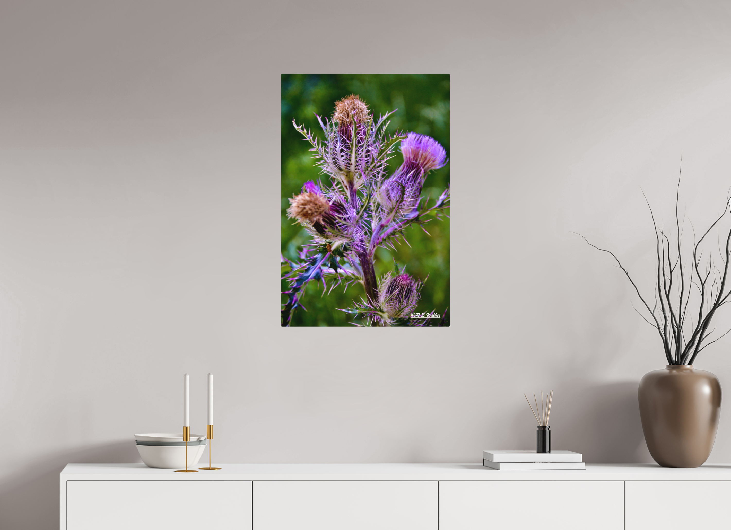 20 x 30″, Aluminum Thistle