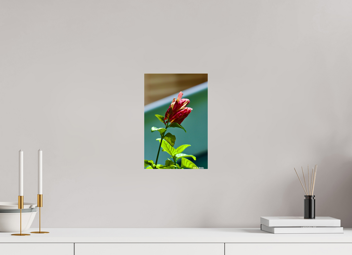 8 x 12″, acrylic-noframe-glossy Lilly of the Incas