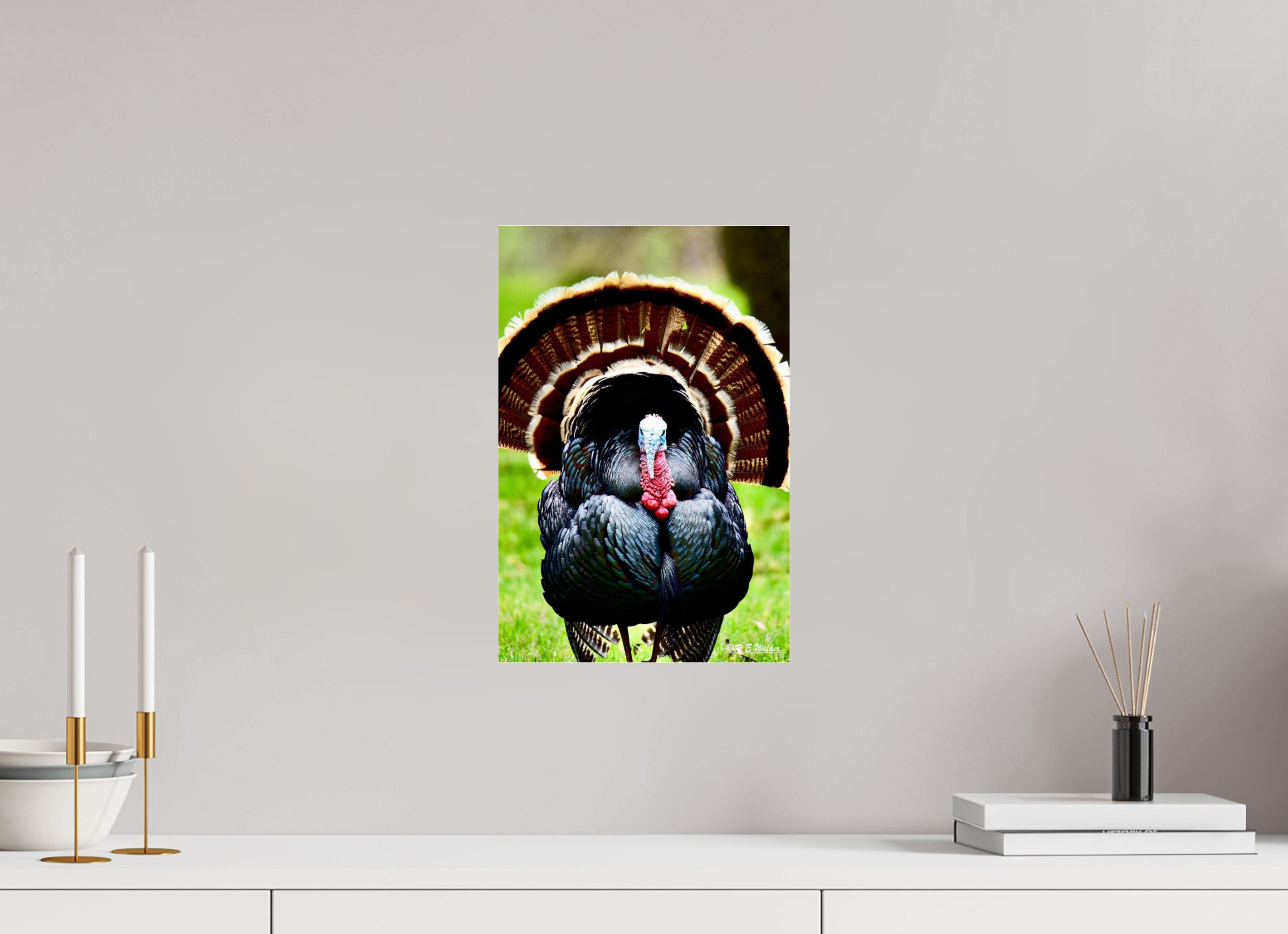 10 x 15″, acrylic-noframe-glossy Turkey Headon