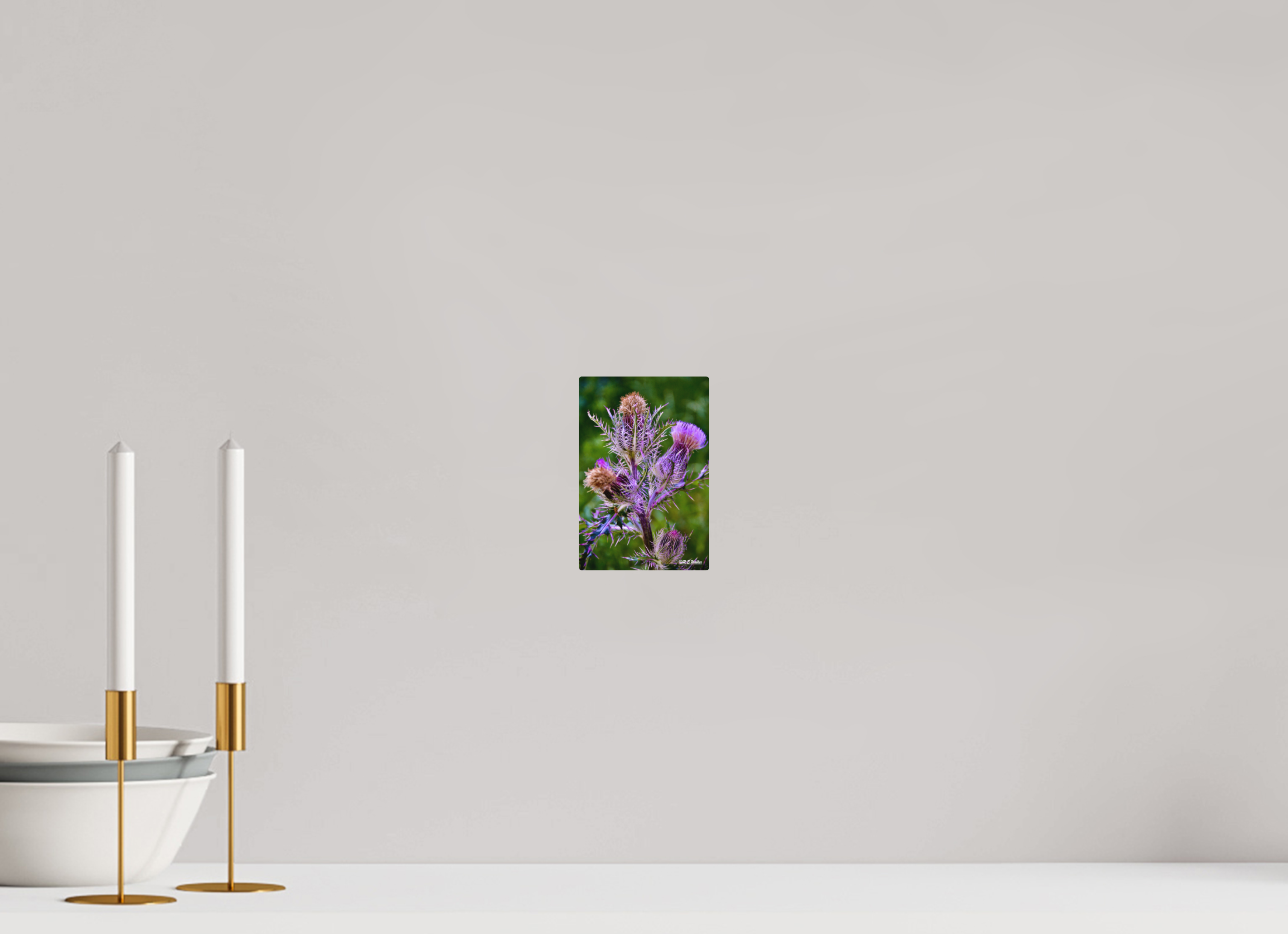 4 x 6″, Aluminum Thistle