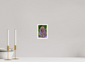4 x 6″, Print with 0.4in white border Close-up Thistle Flowerhead