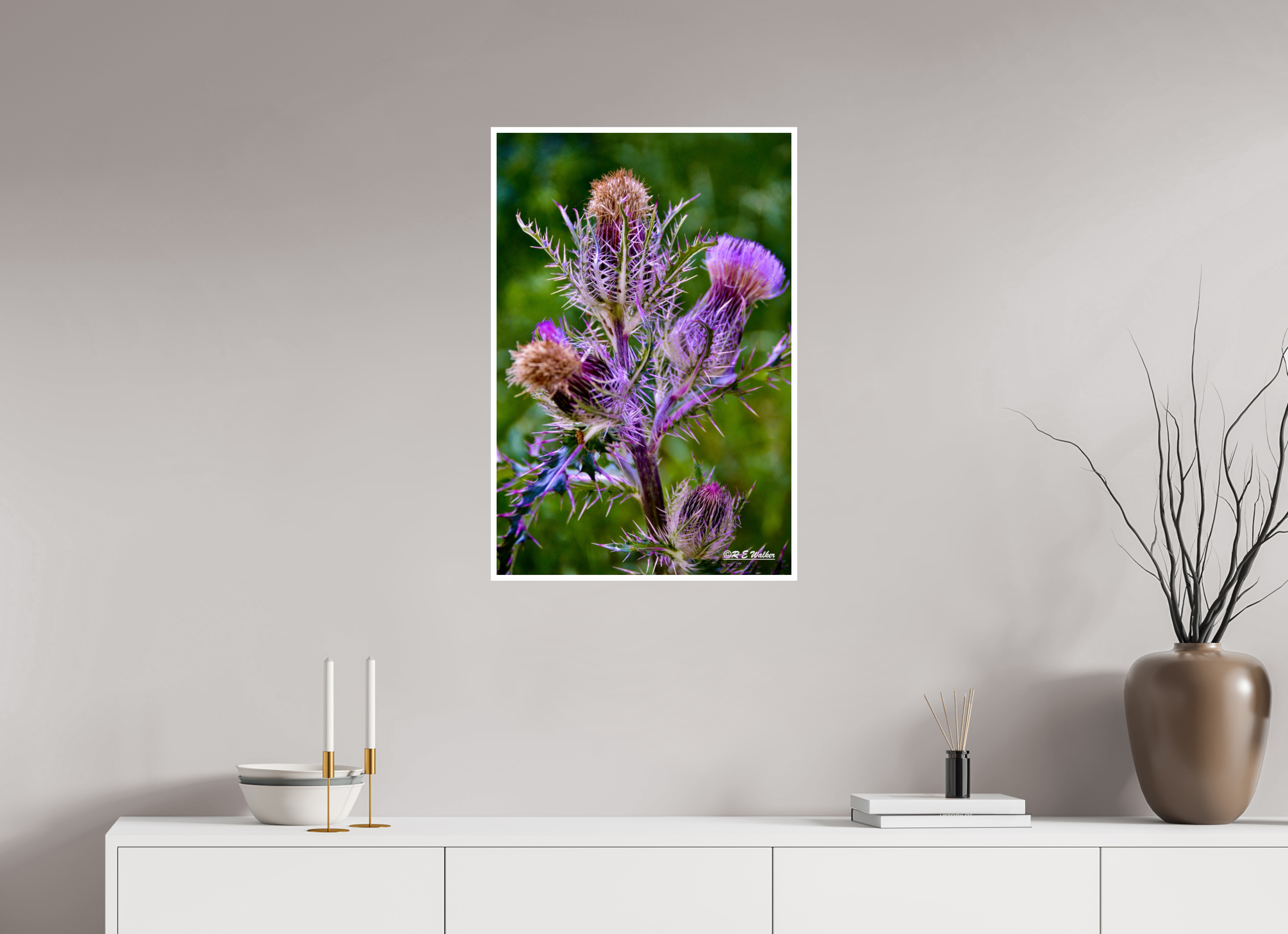 20 x 30″, Print with 0.4in white border Thistle