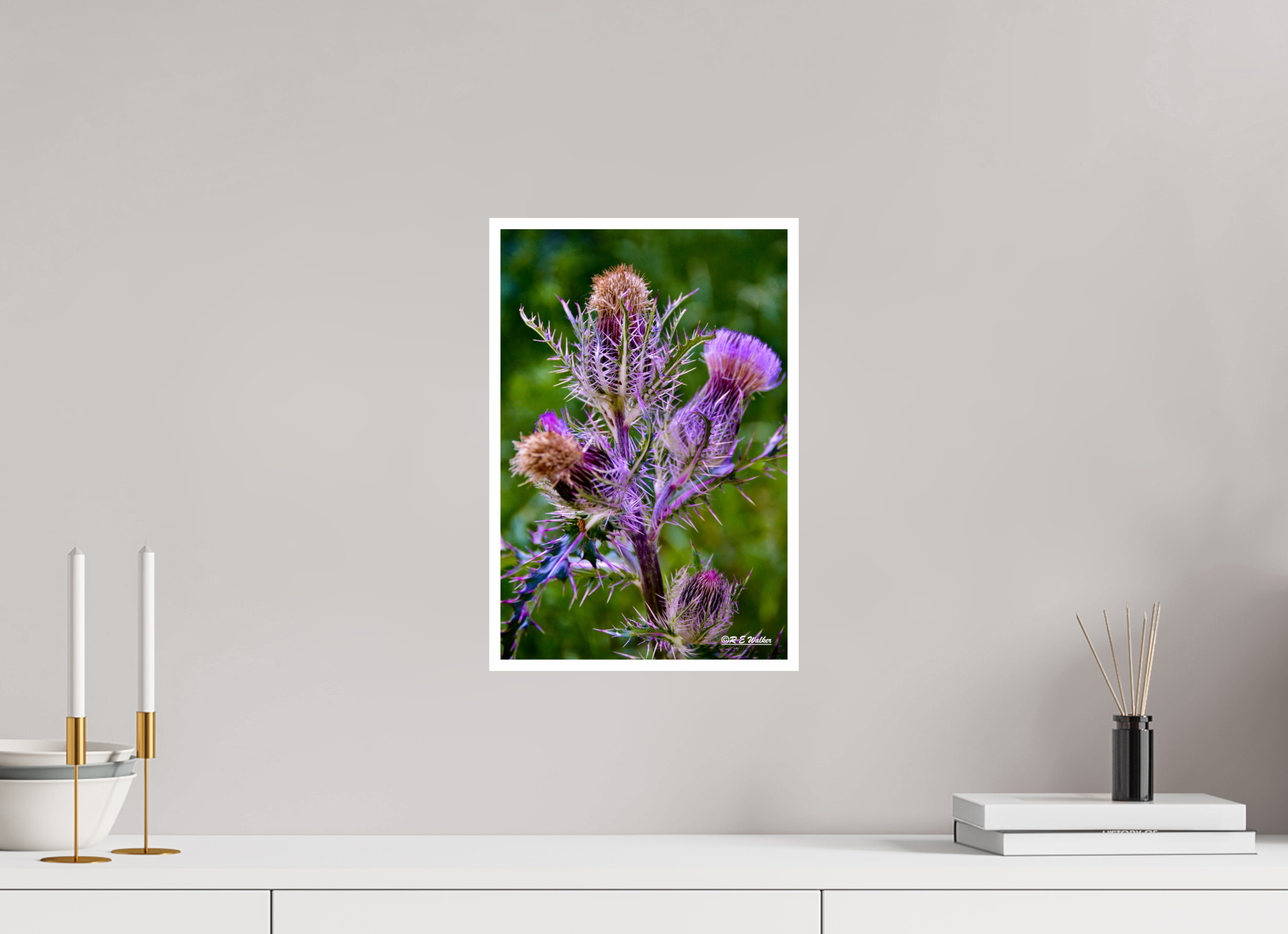 10 x 15″, Print with 0.4in white border Thistle