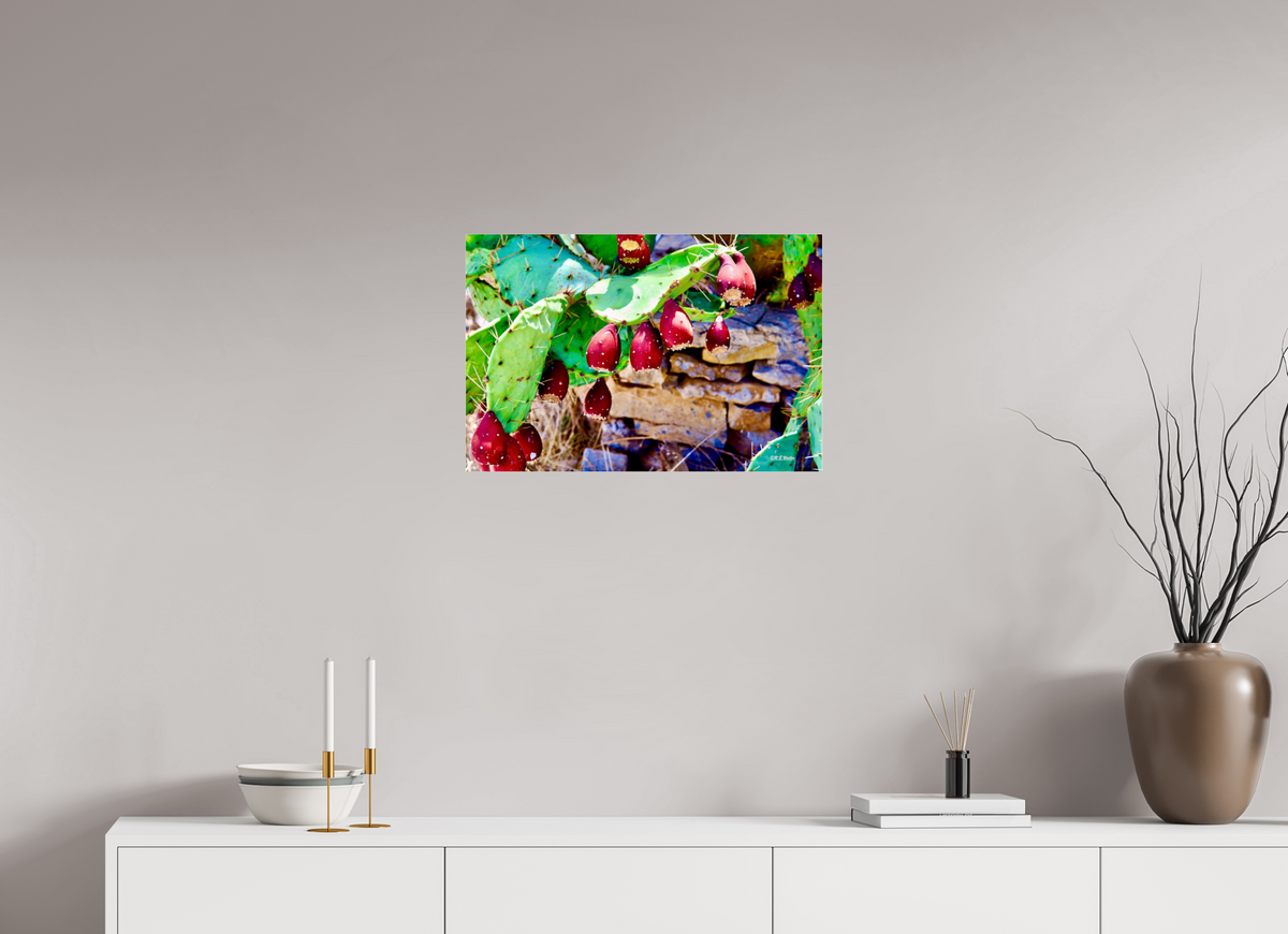 24 x 16″, Photo Print Under Acrylic Glass Prickly Pear Texas