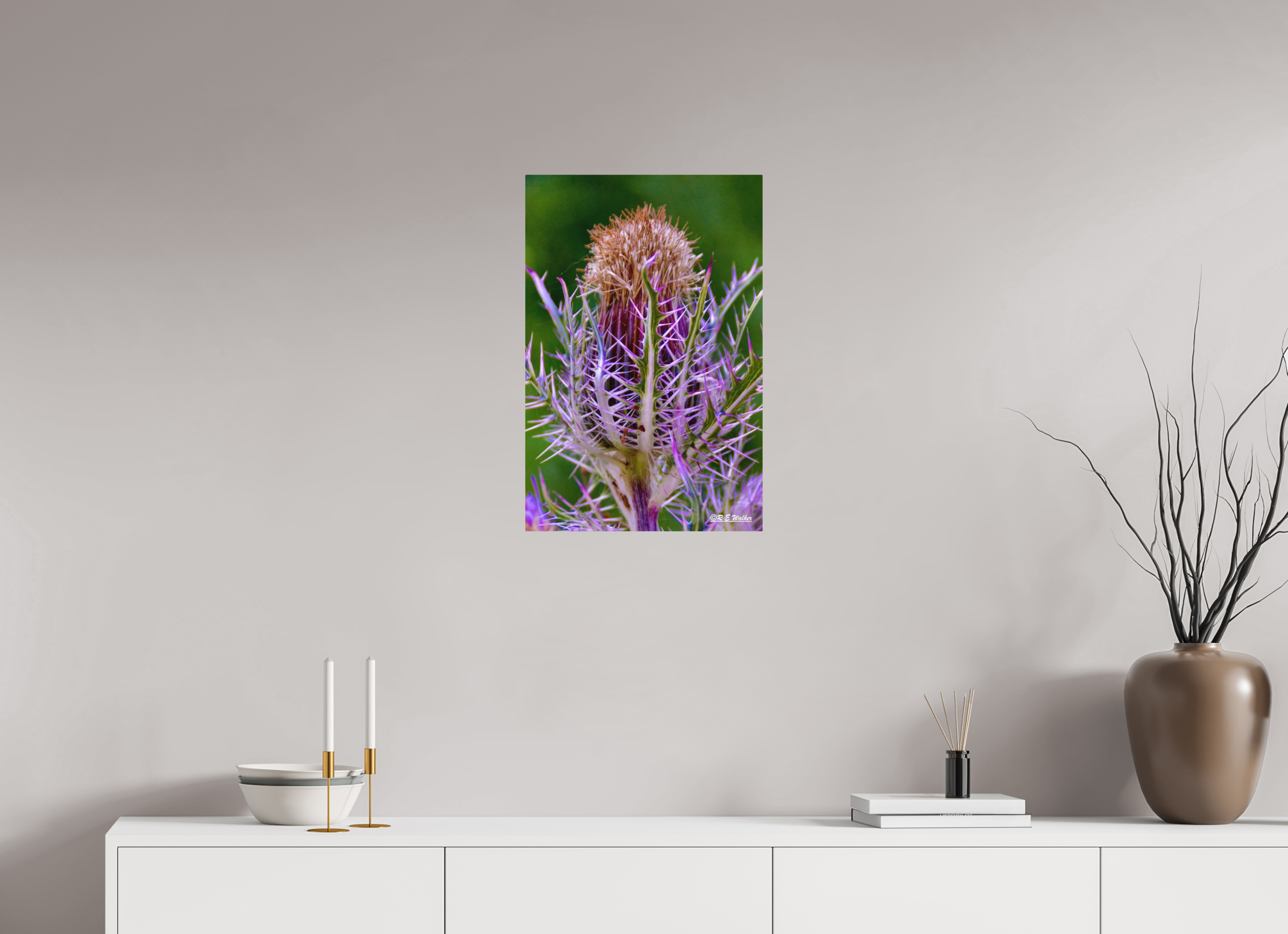 16 x 24″, Aluminum Close-up Thistle Flowerhead