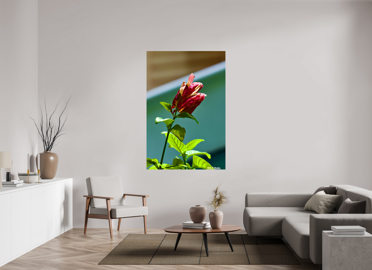 44 x 66″, Glossy Print without border Lilly of the Incas