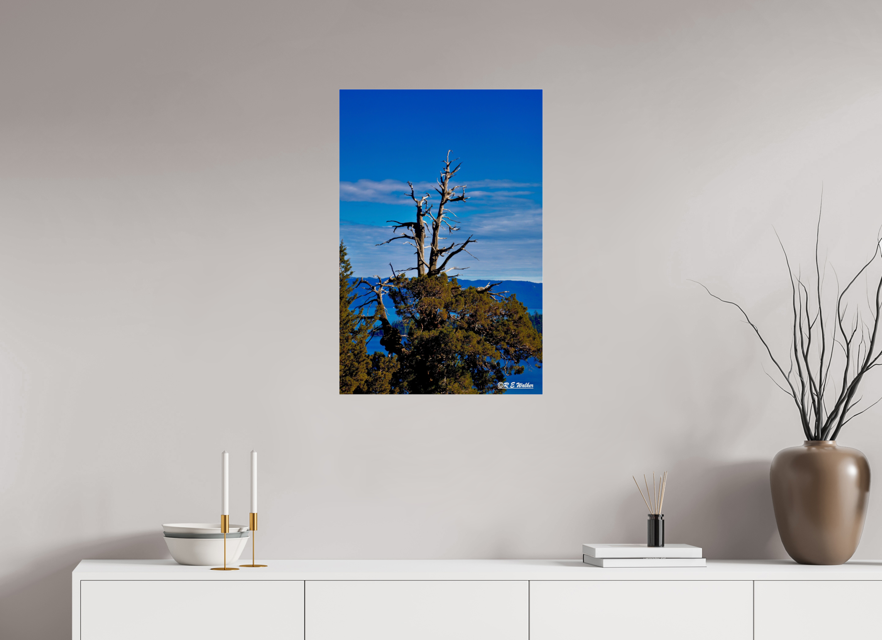 20 x 30″, acrylic-noframe-glossy Tree at Lake Tahoe