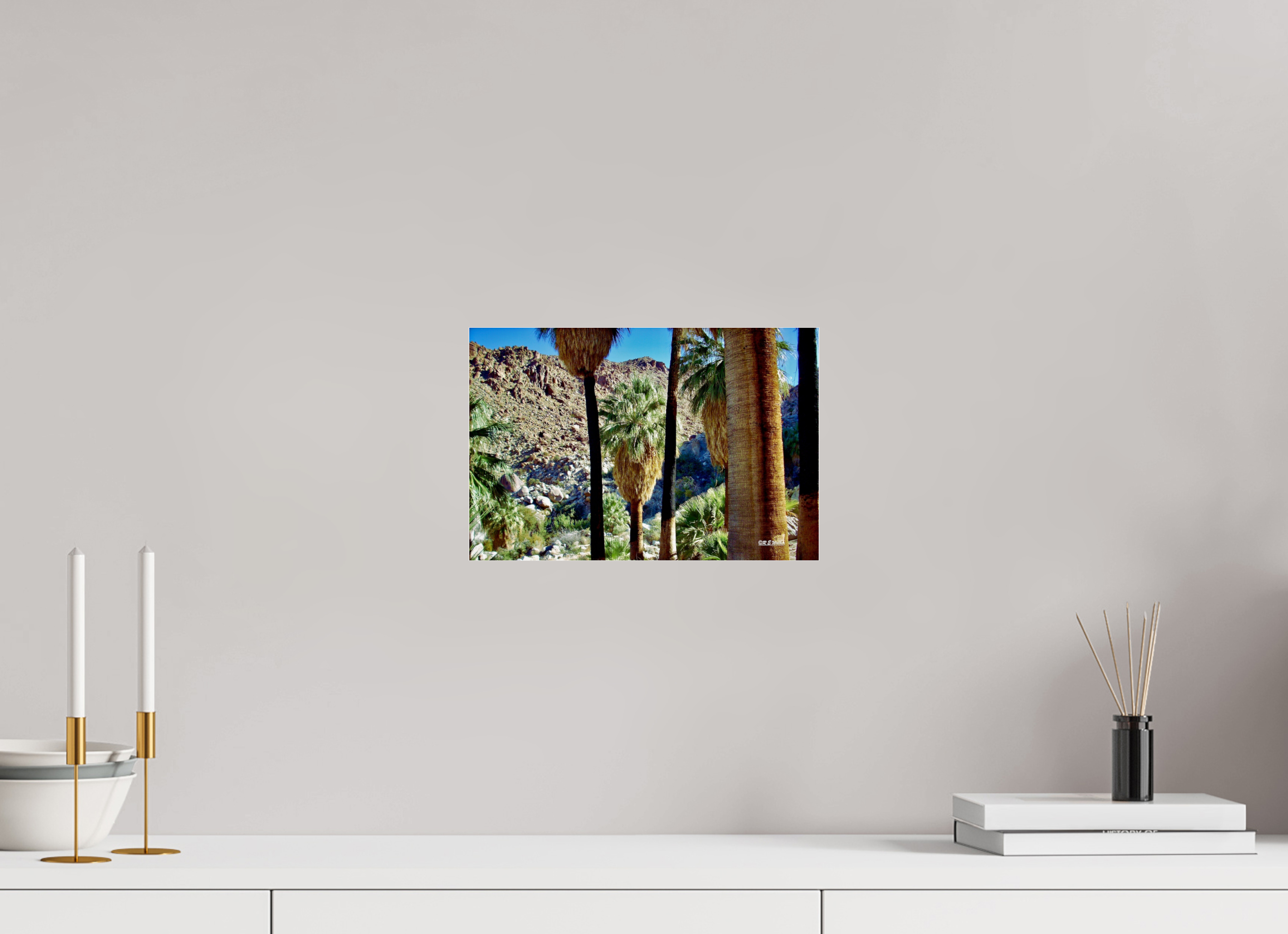 12 x 8″, acrylic-noframe-glossy Oasis in Joshua Tree National Park