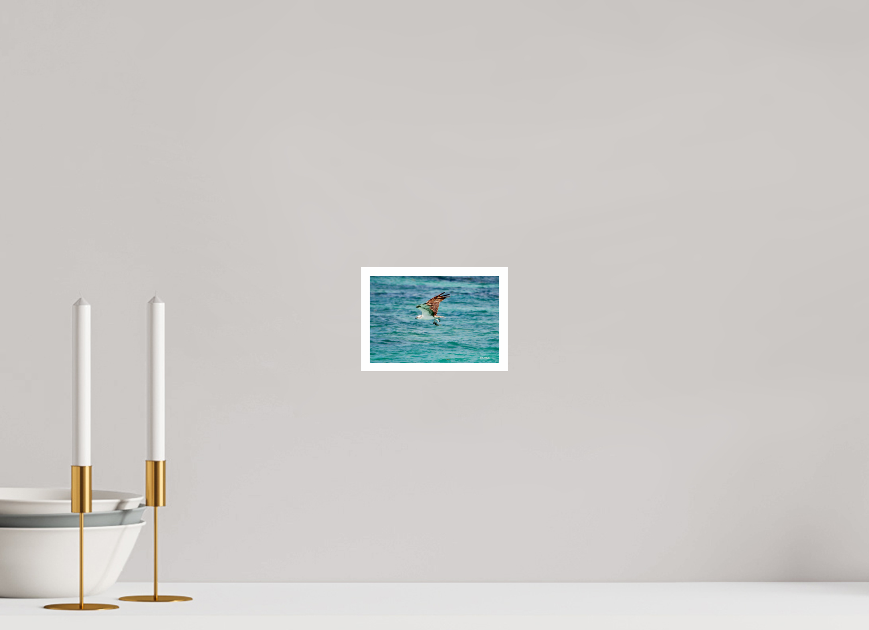 6 x 4″, Print with 0.4in white border Seahawk in flight