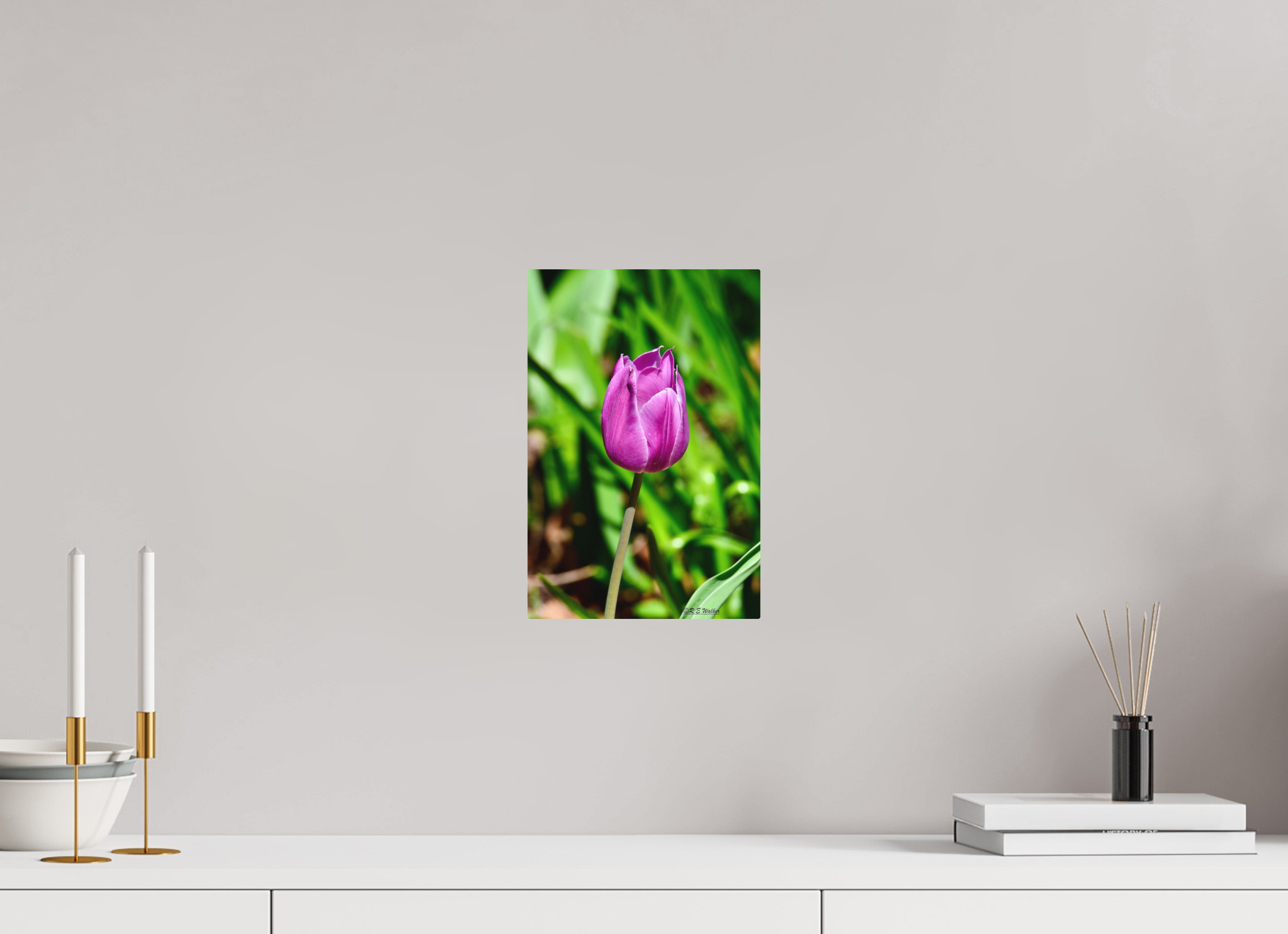 8 x 12″, Aluminum Tulip in Weatherford, Tx