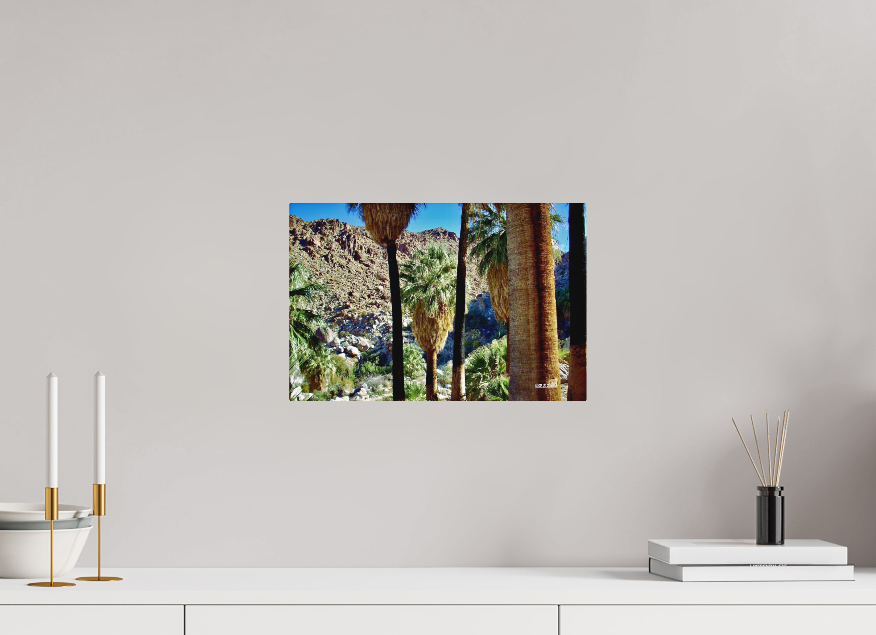 15 x 10″, Aluminum Oasis in Joshua Tree National Park