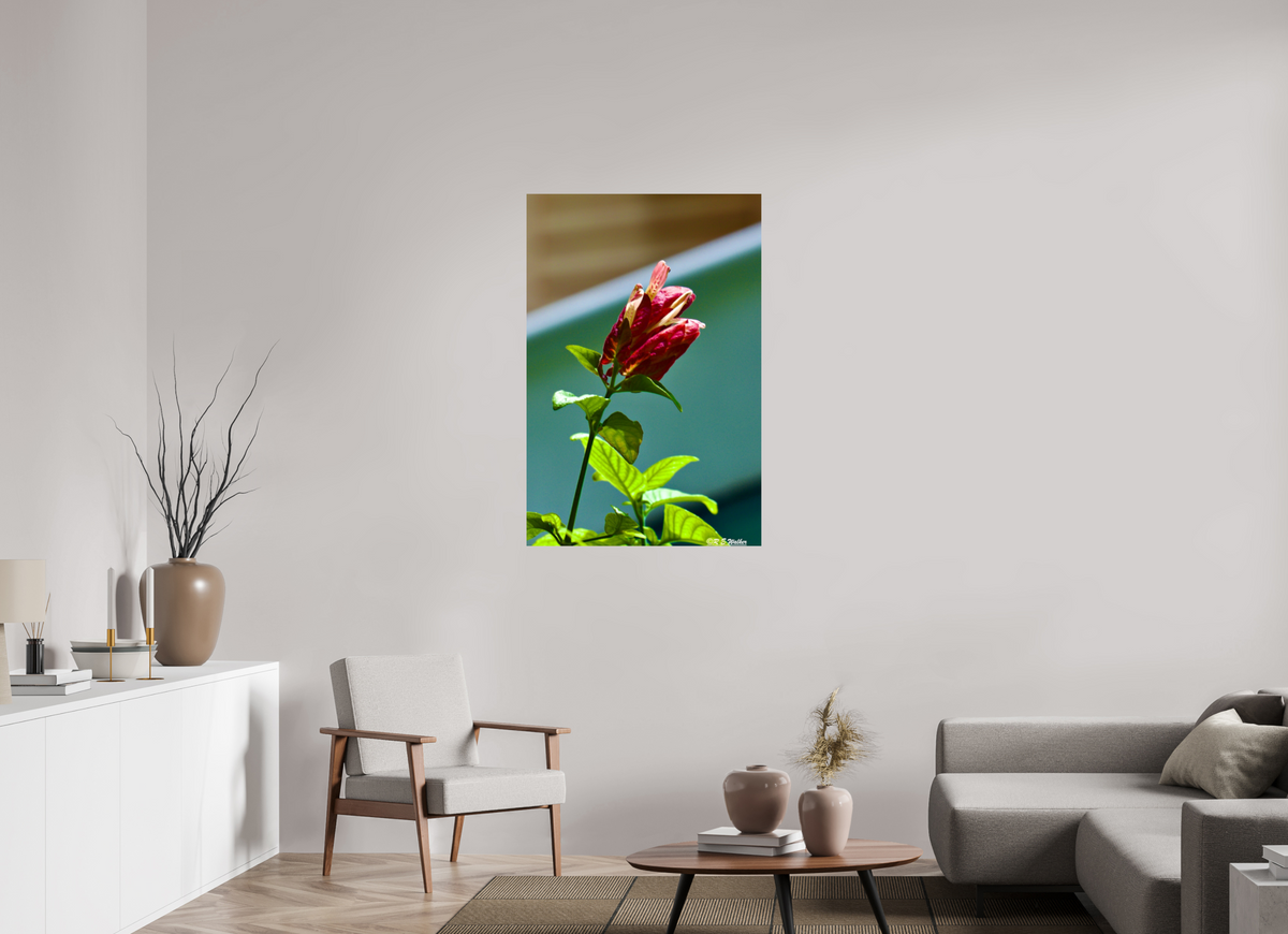 30 x 45″, Glossy Print without border Lilly of the Incas