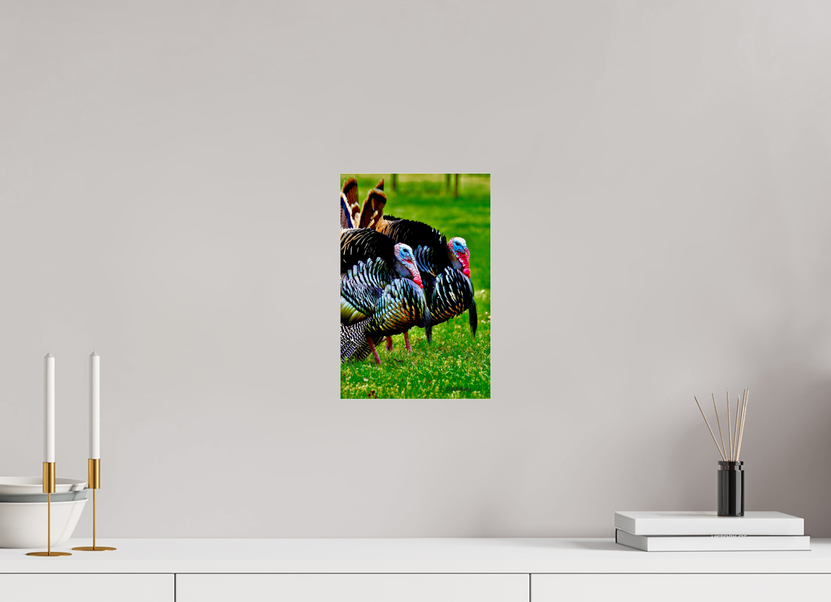 8 x 12″, acrylic-noframe-glossy Turkeys