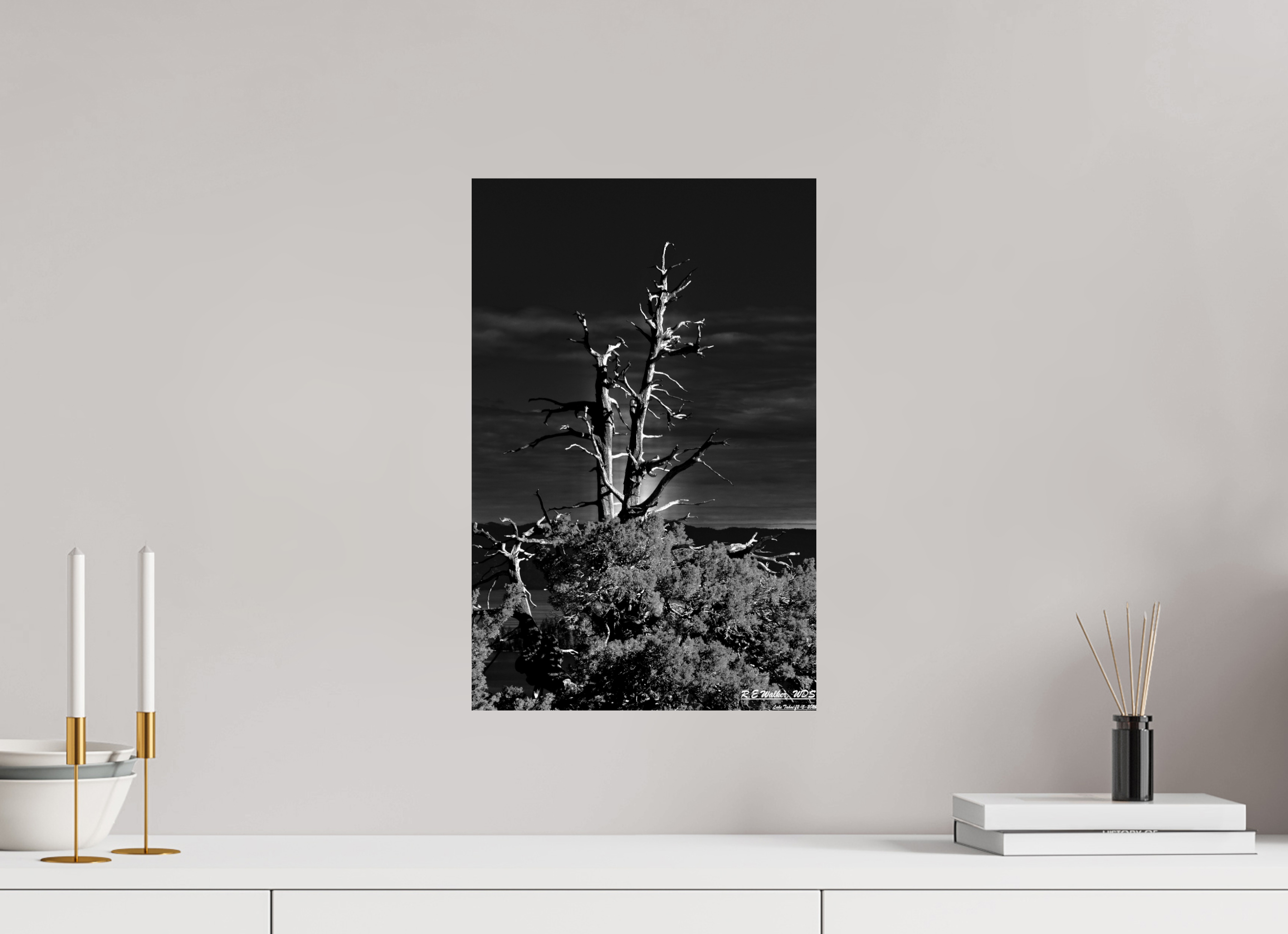 12 x 18.5″, Glossy Print without border Tahoe tree silhouette