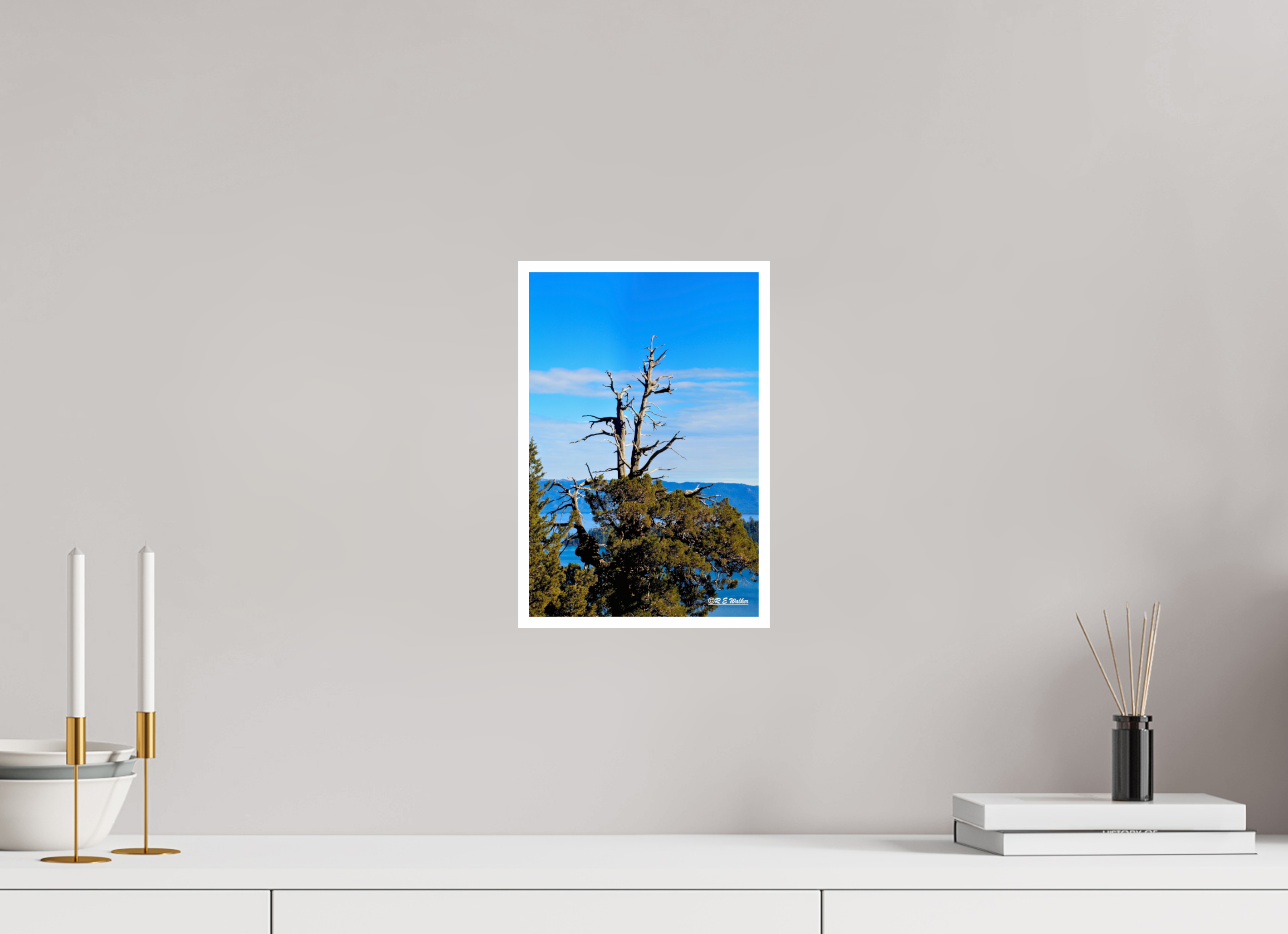 8 x 12″, Print with 0.4in white border Tree at Lake Tahoe