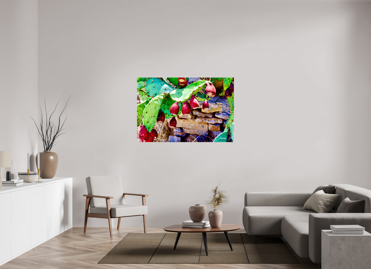 54 x 36″, Photo Print Under Acrylic Glass Prickly Pear Texas