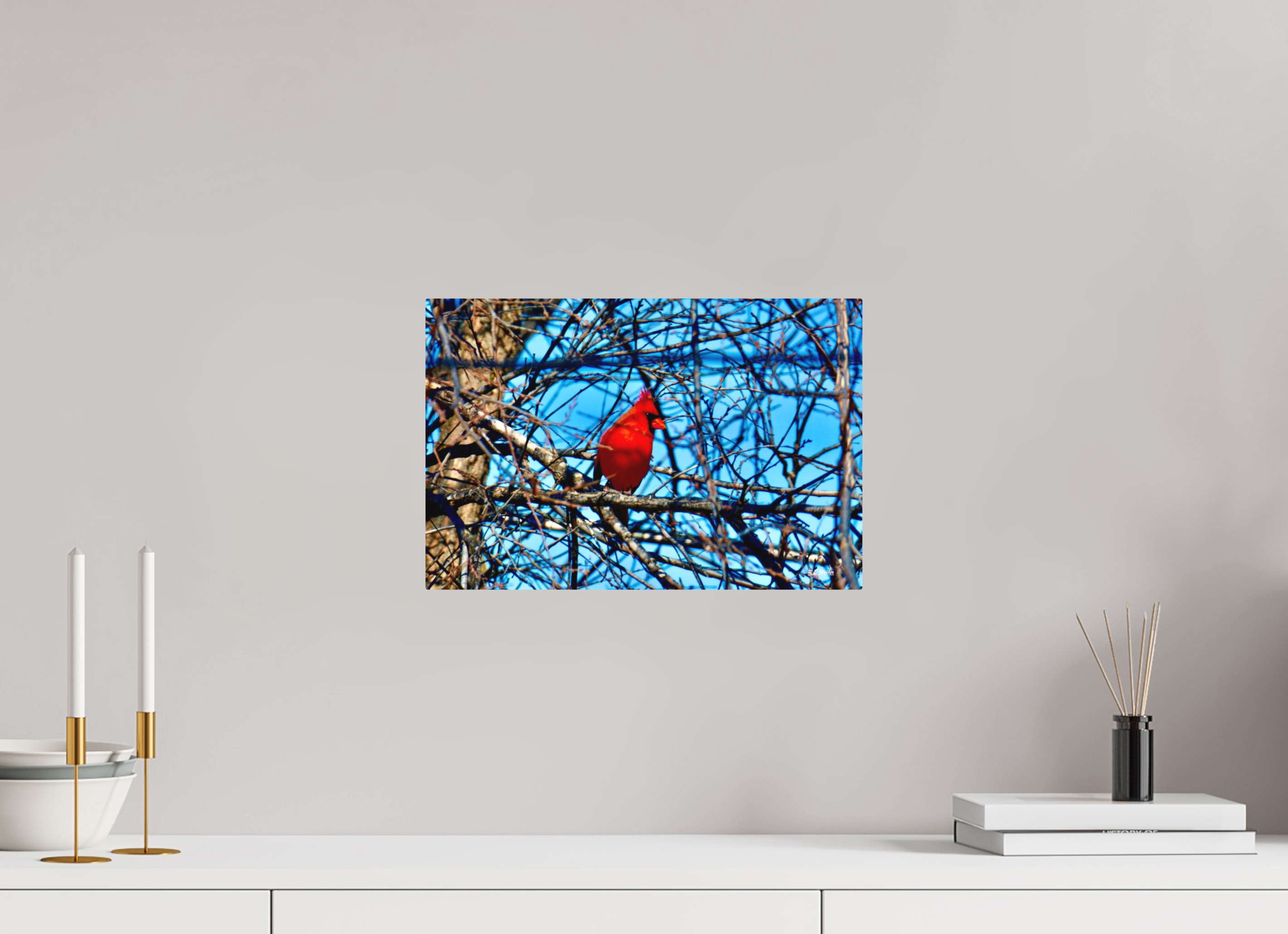 15 x 10″, Aluminum Red Cardinal