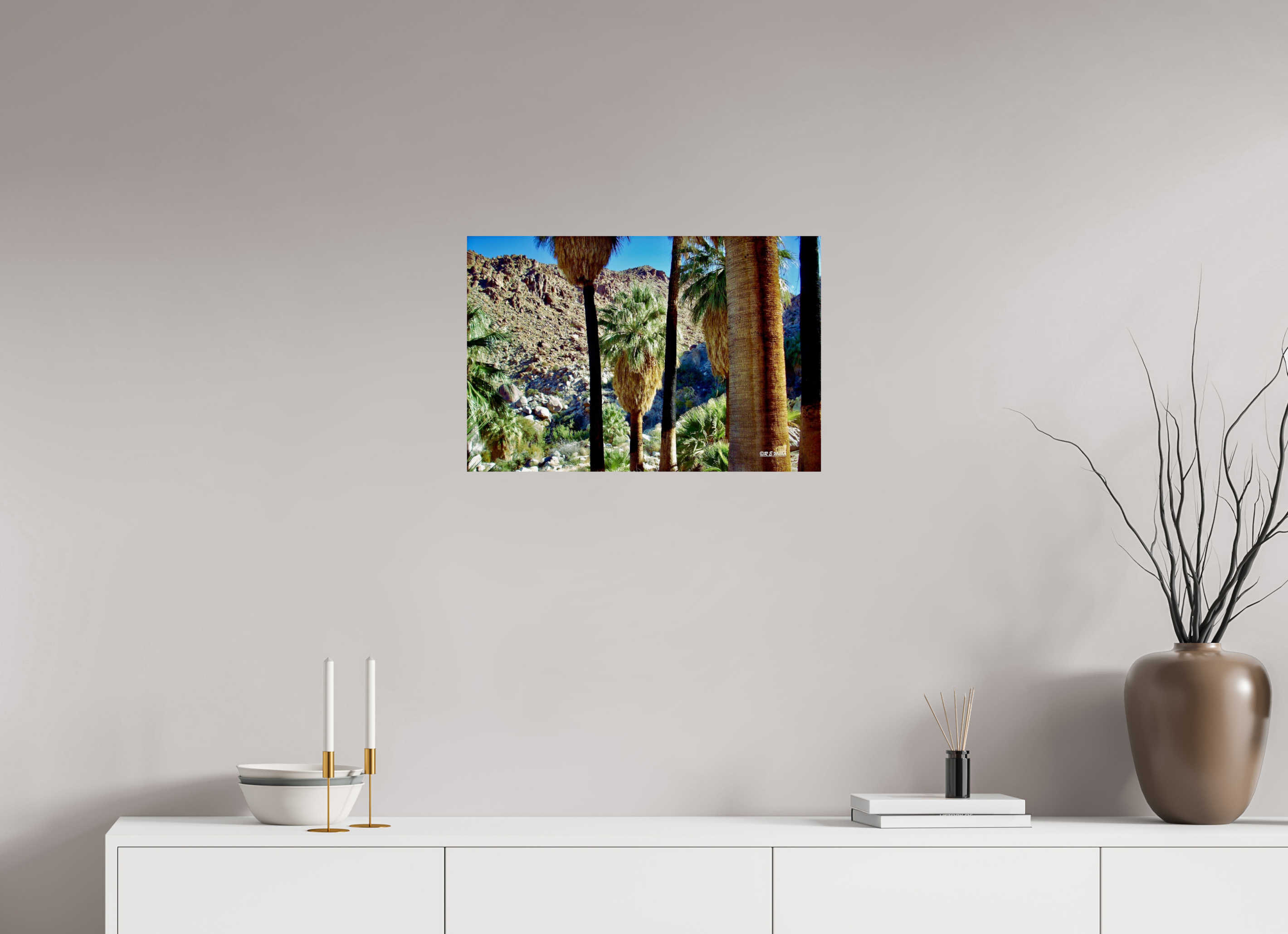 24 x 16″, Glossy Print without border Oasis in Joshua Tree National Park