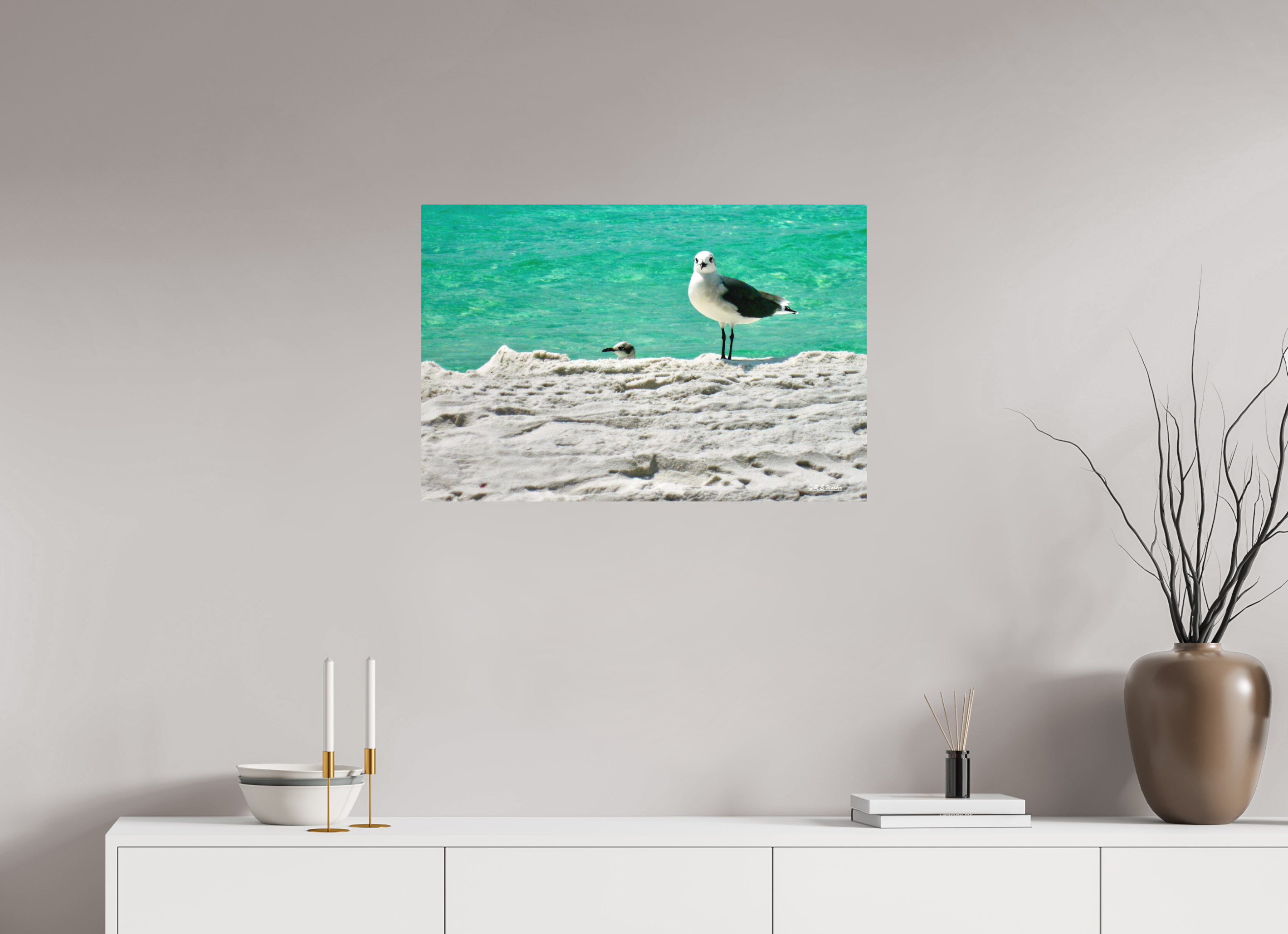 30 x 20″, Aluminum Laughing Gull