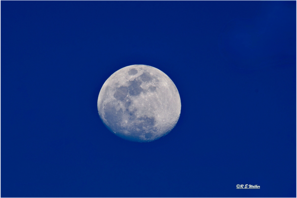 Main image Moon on blue background