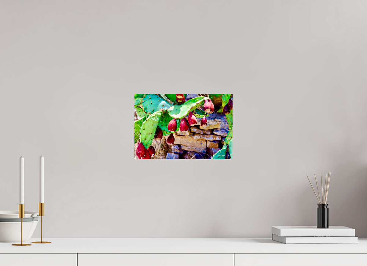12 x 8″, Glossy Print without border Prickly Pear Texas