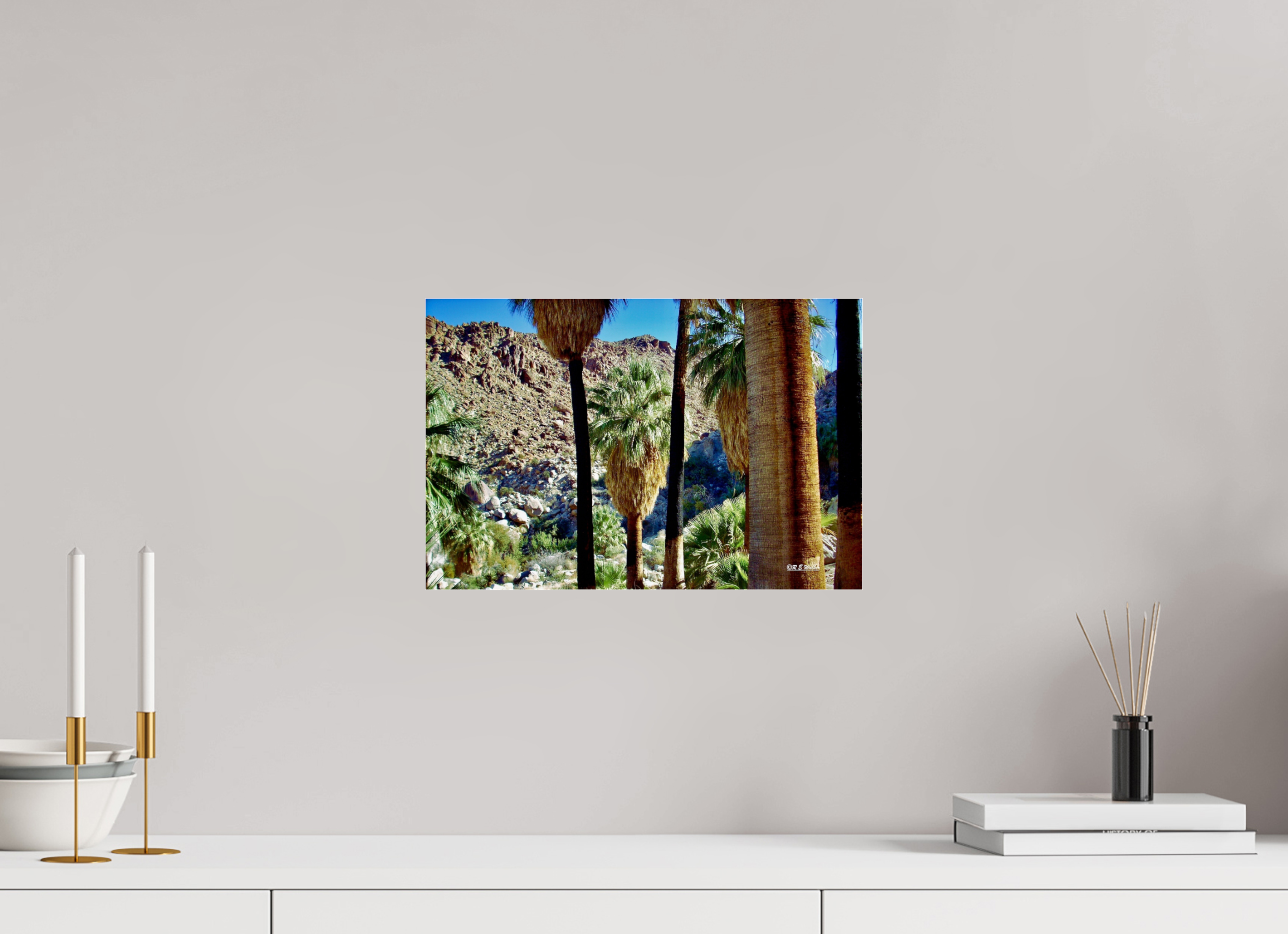 15 x 10″, acrylic-noframe-glossy Oasis in Joshua Tree National Park