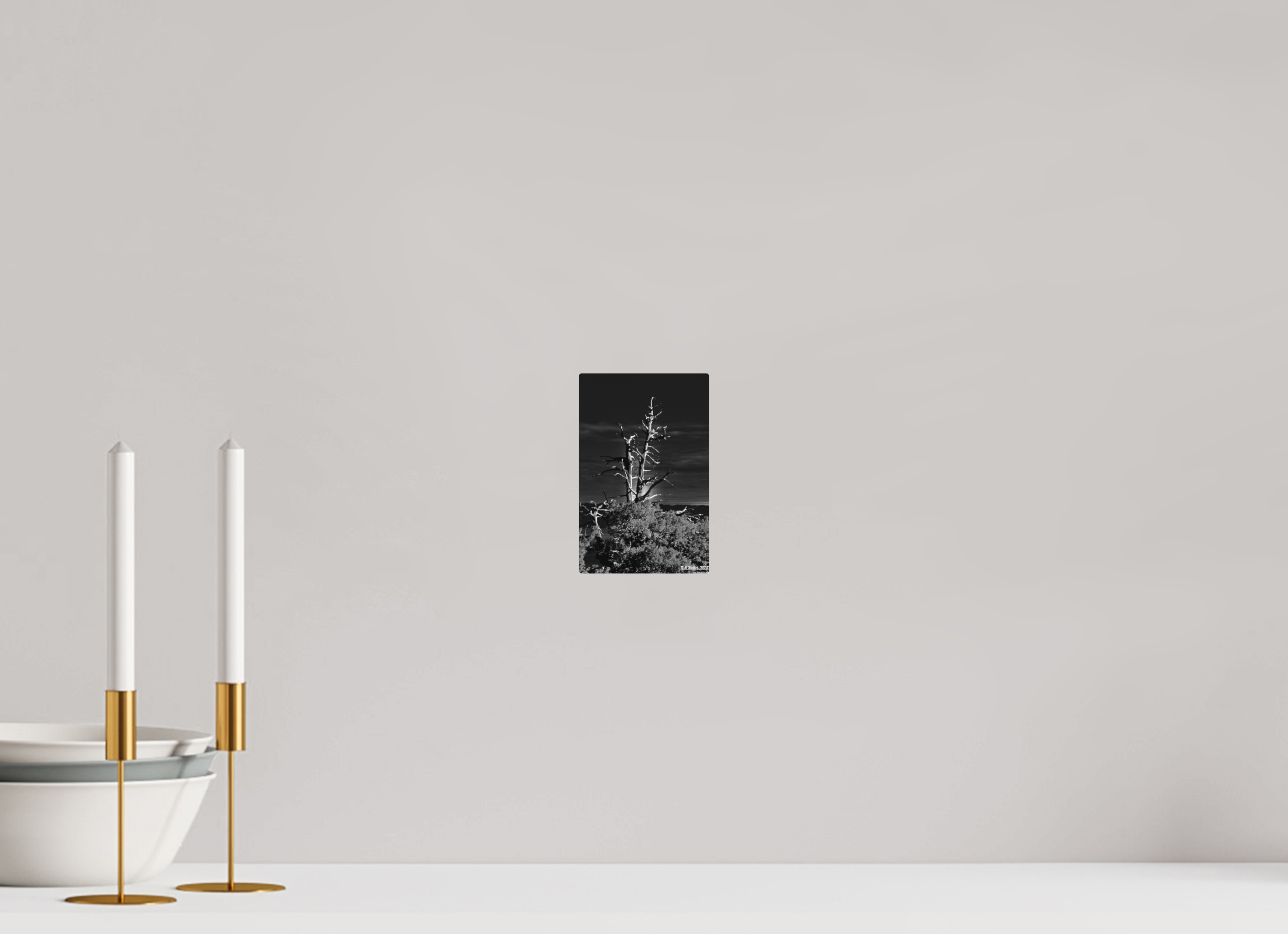 4 x 6.2″, Aluminum Tahoe tree silhouette