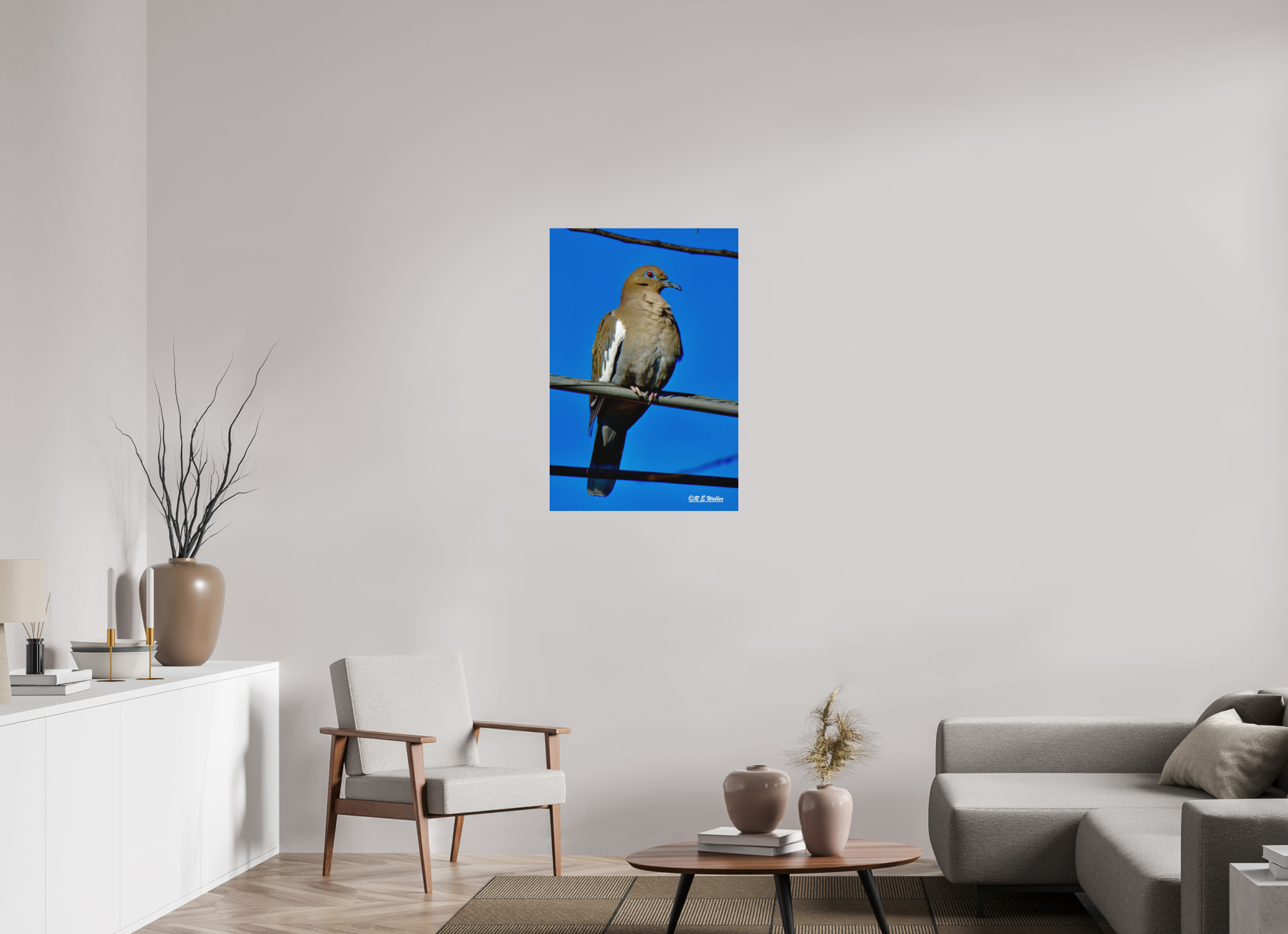 24 x 36″, Aluminum White-Winged Dove