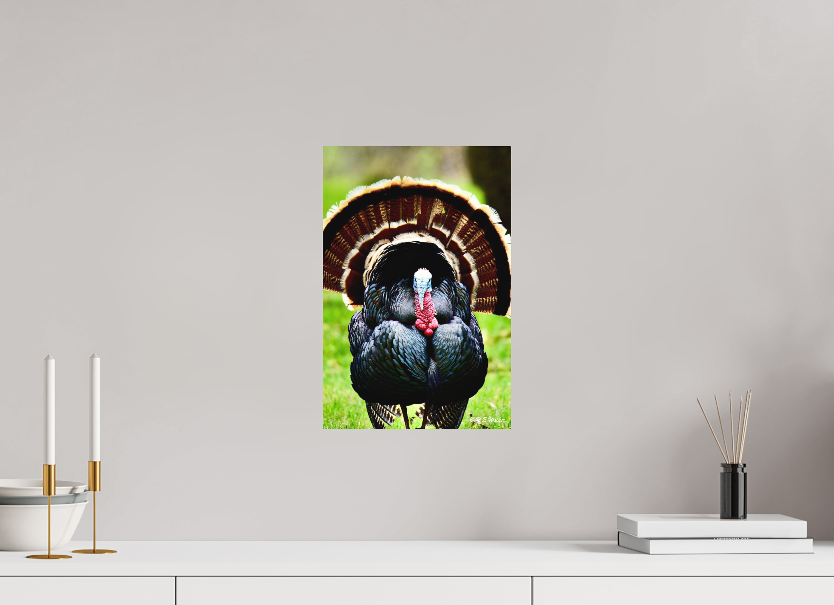 10 x 15″, Aluminum Turkey Headon