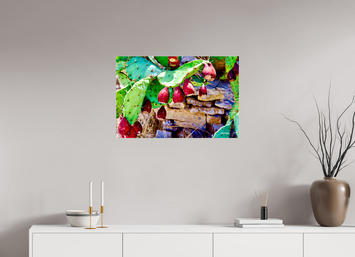 30 x 20″, Photo Print Under Acrylic Glass Prickly Pear Texas