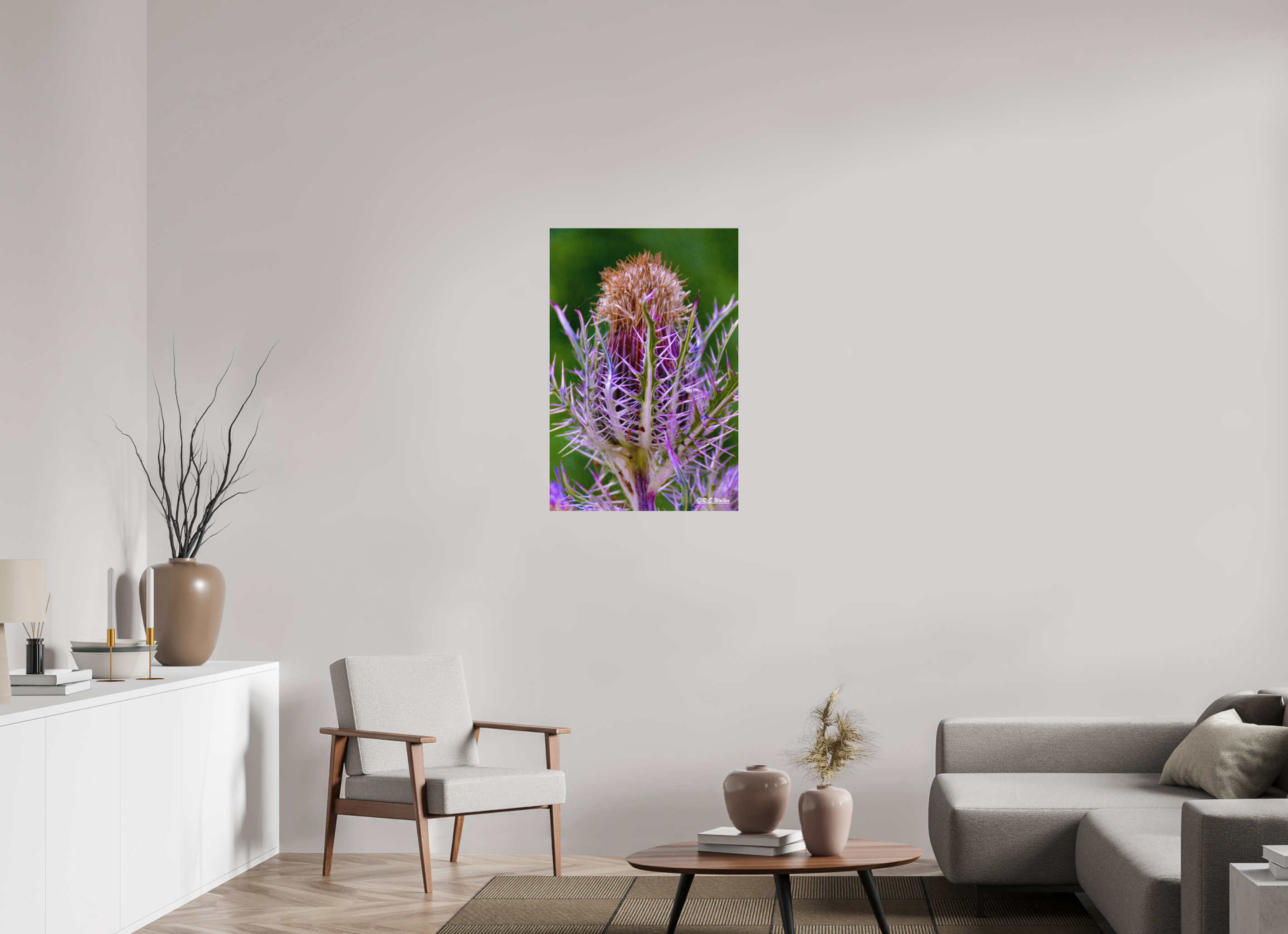 24 x 36″, Aluminum Close-up Thistle Flowerhead