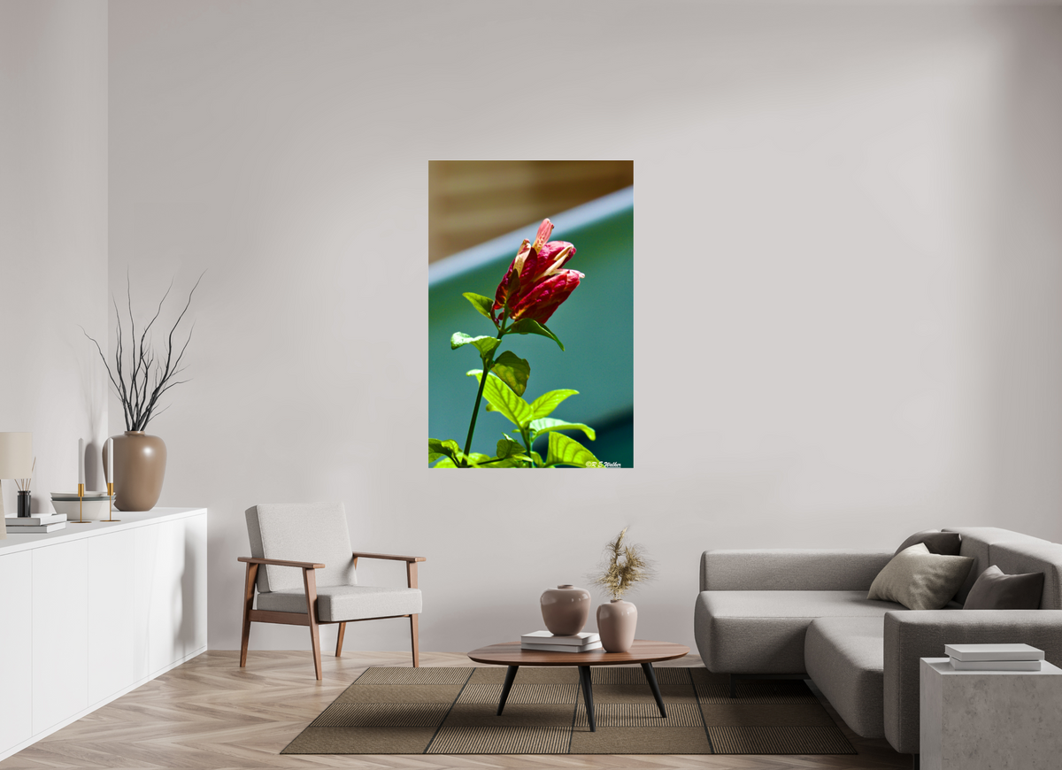 40 x 60″, acrylic-noframe-glossy Lilly of the Incas