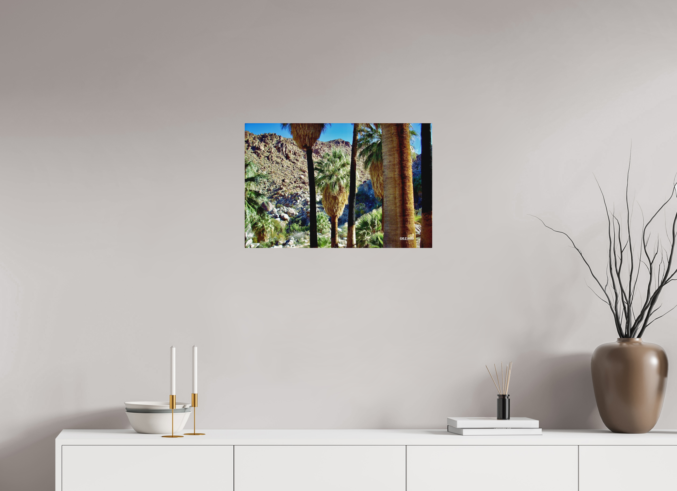 24 x 16″, Aluminum Oasis in Joshua Tree National Park