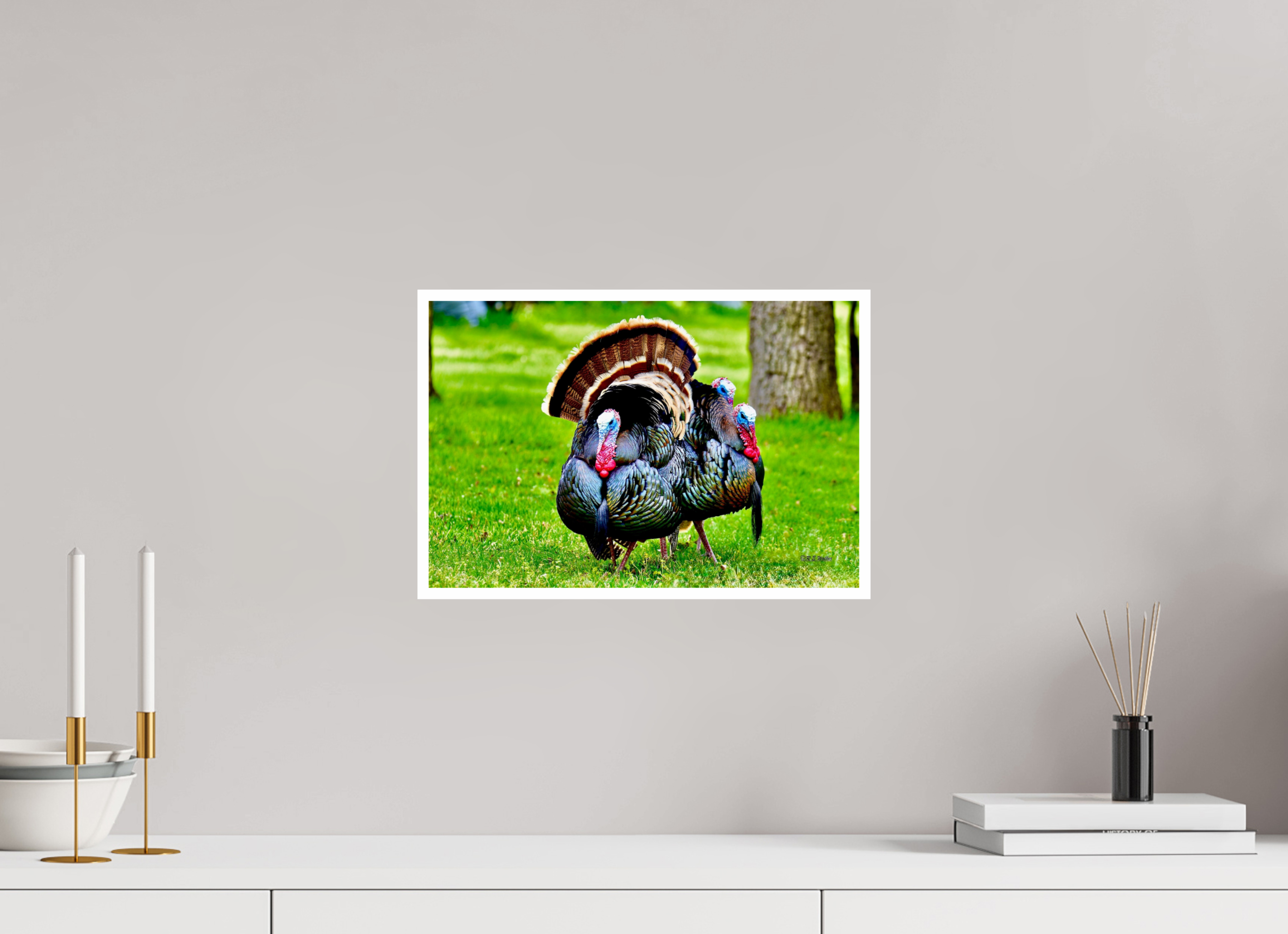 15 x 10″, Print with 0.4in white border 3 gang of Turkeys