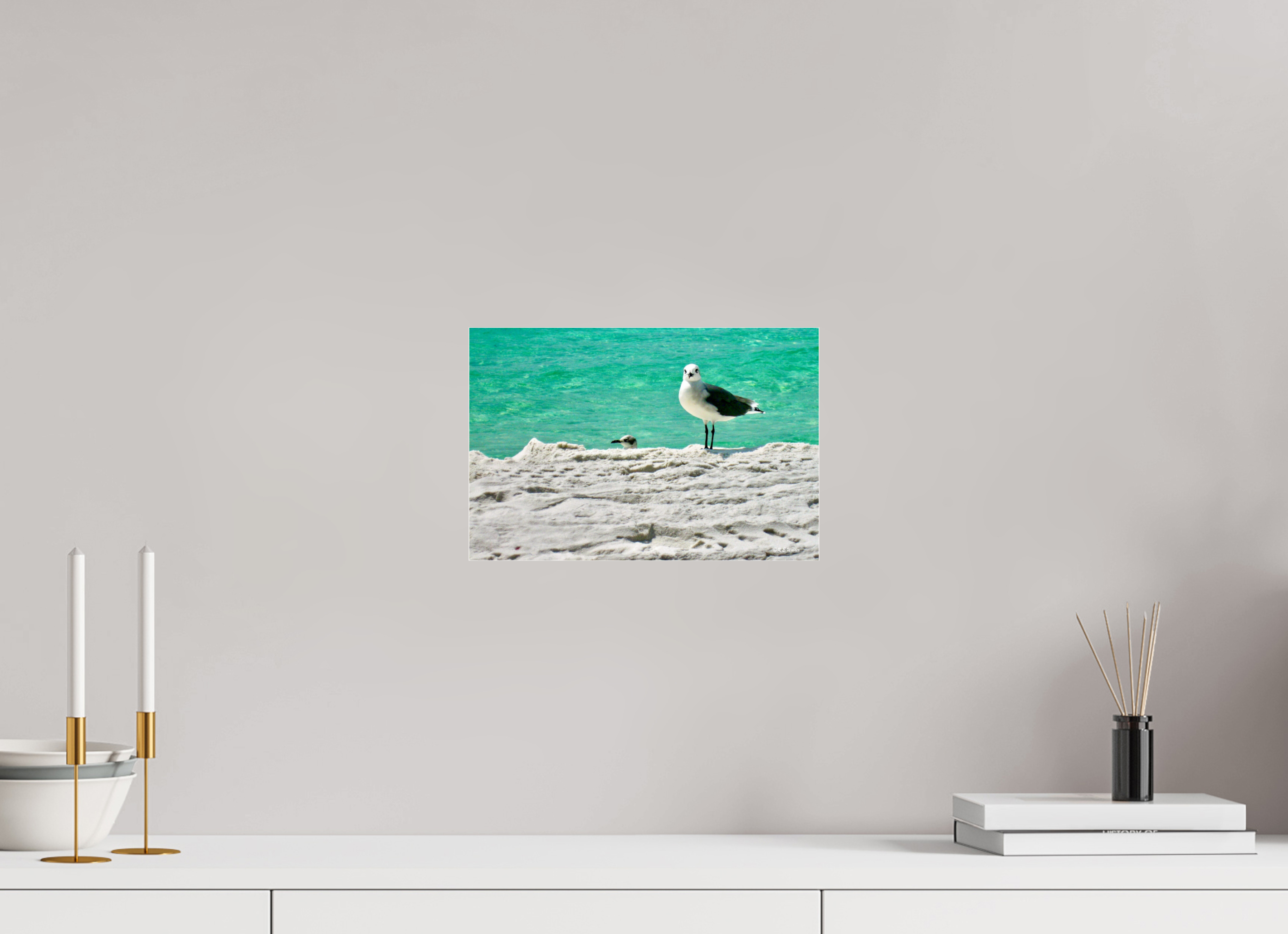 12 x 8″, acrylic-noframe-glossy Laughing Gull