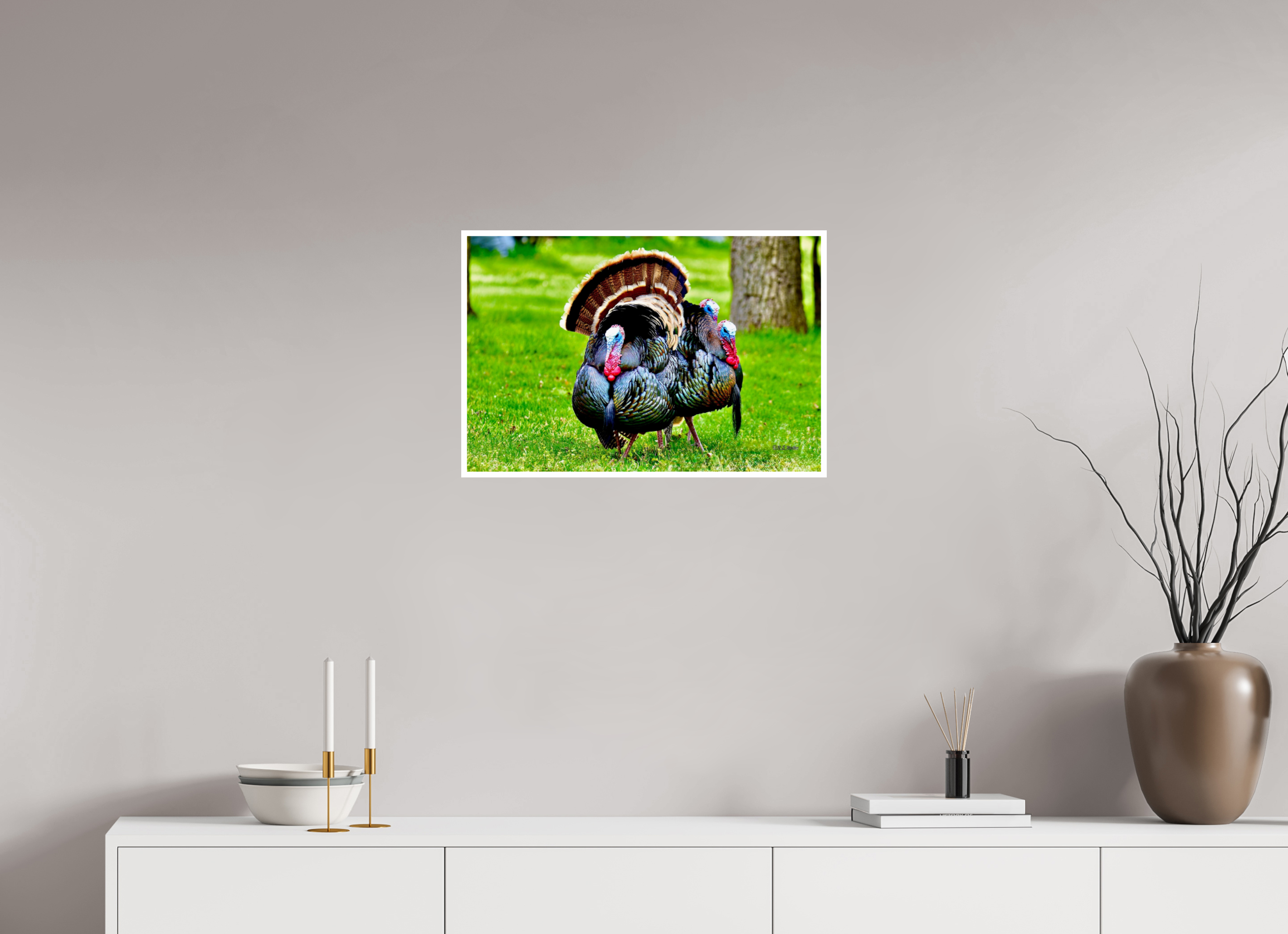 24 x 16″, Print with 0.4in white border 3 gang of Turkeys