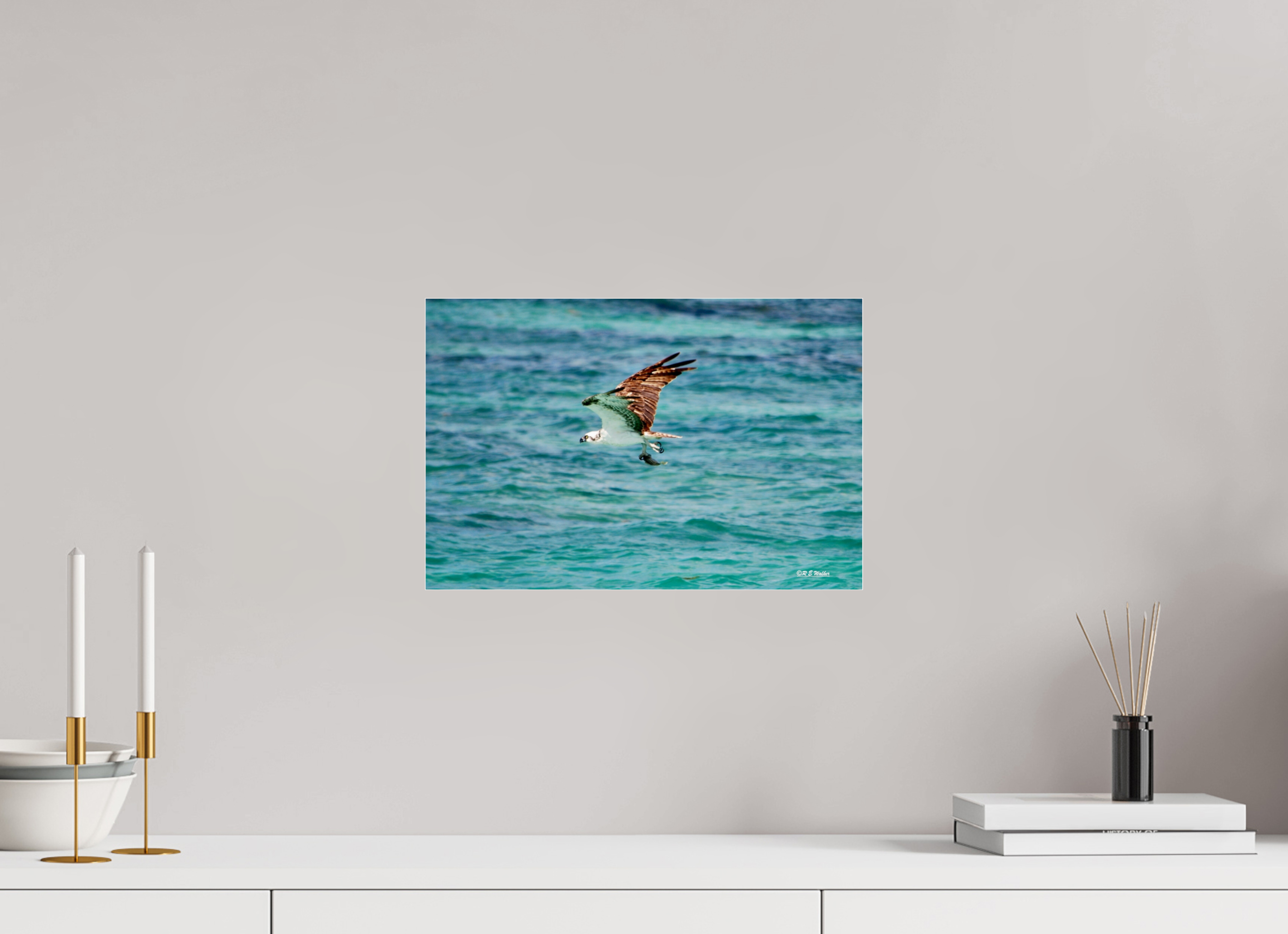 15 x 10″, acrylic-noframe-glossy Seahawk in flight