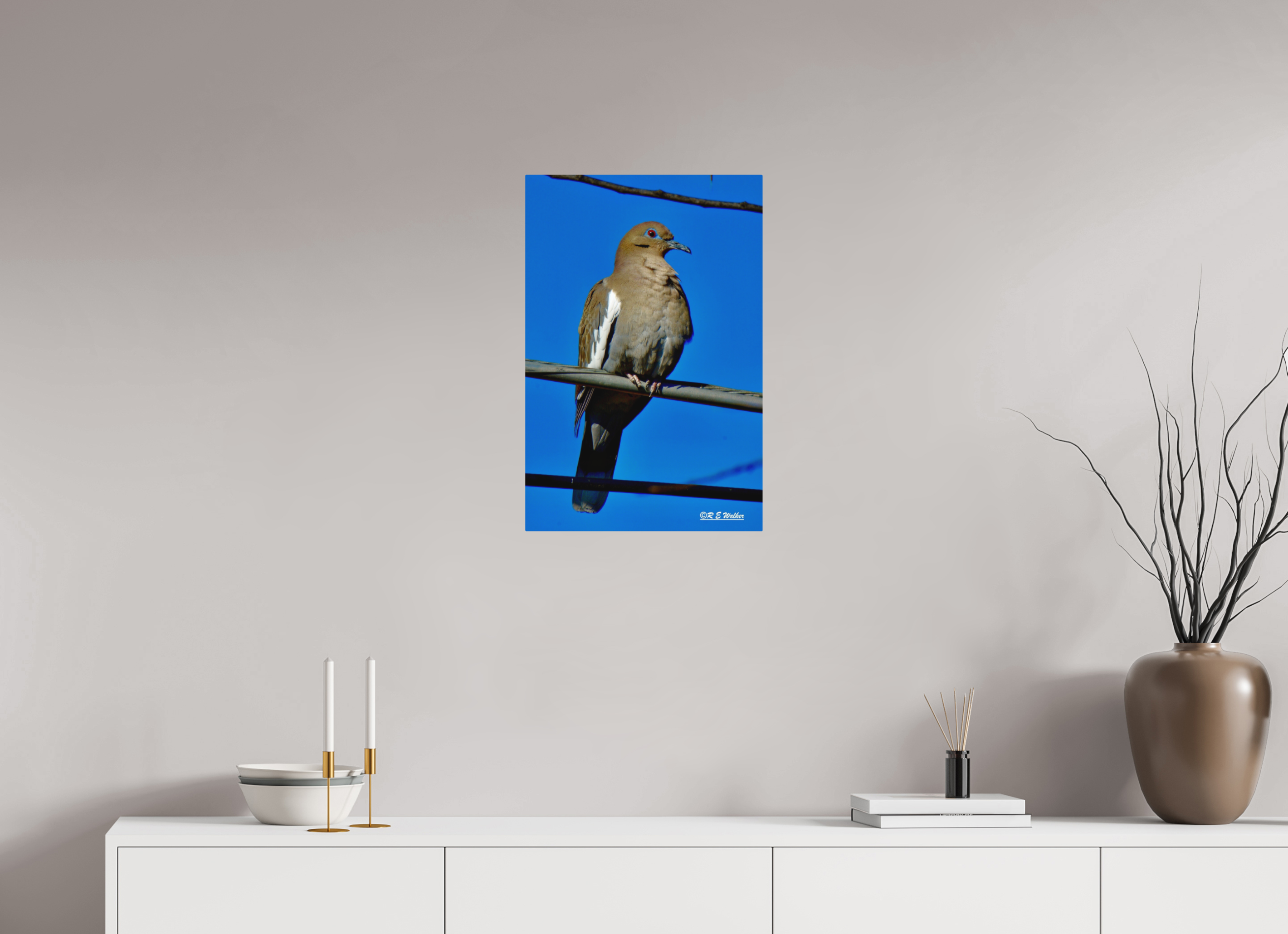 16 x 24″, Aluminum White-Winged Dove