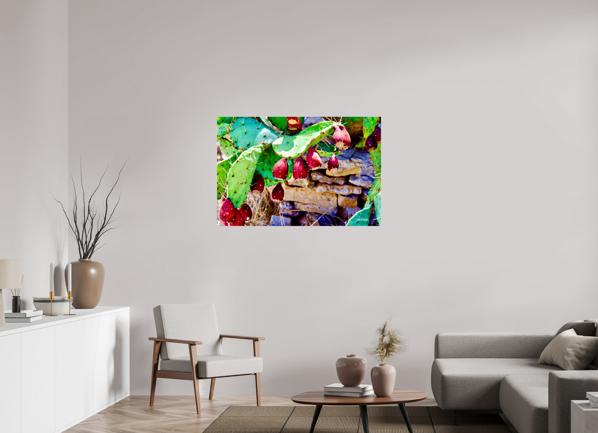 45 x 30″, Photo Print Under Acrylic Glass Prickly Pear Texas