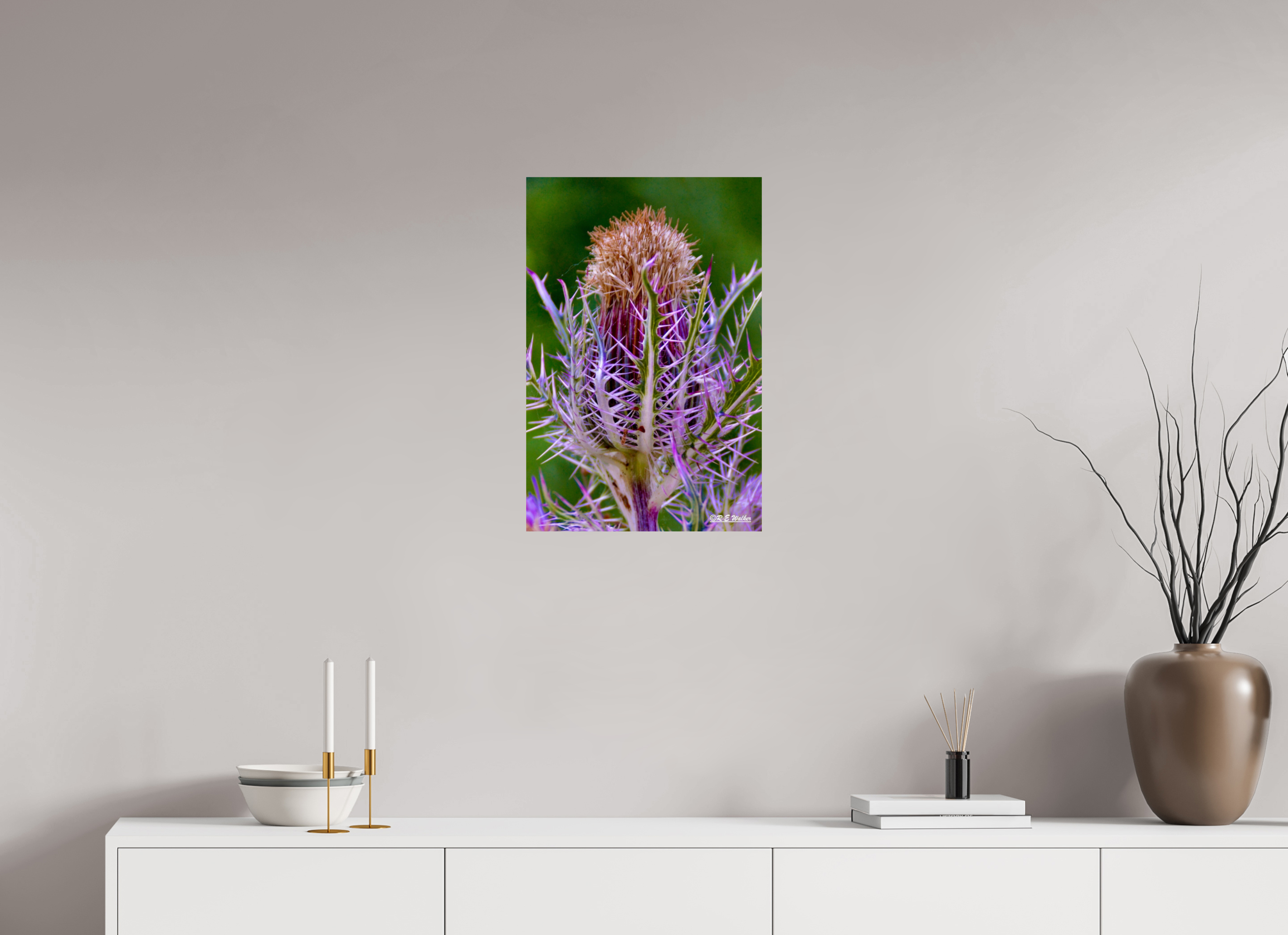 16 x 24″, Glossy Print without border Close-up Thistle Flowerhead